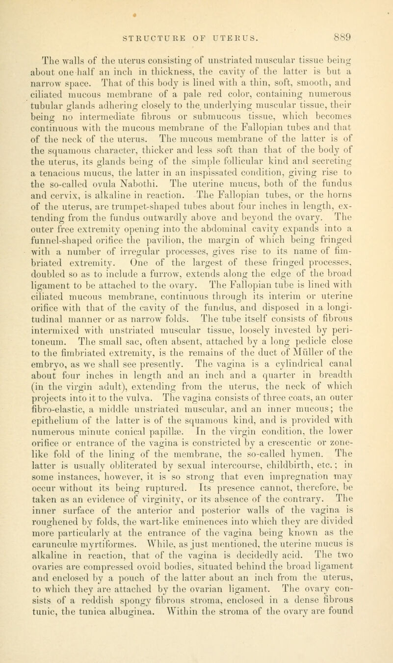 The walls of the uterus consisting of unstriated muscular tissue being about one half an inch in thickness, the cavity of the latter is but a narrow space. That of this body is lined with a thin, soft, smooth, and ciliated mucous membrane of a pale red color, containing numerous tubular glands adhering closely to the. underlying muscular tissue, their being no intermediate fibrous or submucous tissue, which becomes continuous with the mucous membrane of the Fallopian tubes and that of the neck of the uterus. The mucous membrane of the latter is of the squamous character, thicker and less soft than that of the body of the uterus, its glands being of the simple follicular kind and secretin-' a tenacious mucus, the latter in an inspissated condition, giving rise to the so-called ovula Nabothi. The uterine mucus, both of the fundus and cervix, is alkaline in reaction. The Fallopian tubes, or the horns of the uterus, are trumpet-shaped tubes about four inches in length, ex- tending from the fundus outwardly above and beyond the ovary. The outer free extremity opening into the abdominal cavity expands into a funnel-shaped orifice the pavilion, the margin of which being fringed with a number of irregular processes, gives rise to its name of fim- briated extremity. One of the largest of these fringed processes, doubled so as to include a furrow, extends along the edge of the broad ligament to be attached to the ovary. The Fallopian tube is lined with ciliated mucous membrane, continuous through its interim or uterine orifice with that of the cavity of the fundus, and disposed in a longi- tudinal manner or as narrow folds. The tube itself consists of fibrous intermixed with unstriated muscular tissue, loosely invested by peri- toneum. The small sac, often absent, attached by a long pedicle close to the fimbriated extremity, is the remains of the duct of Miiller of the embryo, as we shall see presently. The vagina is a cylindrical canal about four inches in length and an inch and a quarter in breadth (in the virgin adult), extending from the uterus, the neck of which projects into it to the vulva. The vagina consists of three coats, an outer fibro-elastic, a middle unstriated muscular, and an inner mucous; the epithelium of the latter is of the squamous kind, and is provided with numerous minute conical papillae. In the virgin condition, the lower orifice or entrance of the vagina is constricted by a crescentic or zone- like fold of the lining of the membrane, the so-called hymen. The latter is usually obliterated by sexual intercourse, childbirth, etc.; in some instances, however, it is so strong that even impregnation may occur without its being ruptured. Its presence cannot, therefore, be taken as an evidence of virginity, or its absence of the contrary. The inner surface of the anterior and posterior walls of the vagina is roughened by folds, the wart-like eminences into which they are divided more particularly at the entrance of the vagina being known as the carunculpe myrtiformes. While, as just mentioned, the uterine mucus is alkaline in reaction, that of the vagina is decidedly acid. The two ovaries are compressed ovoid bodies, situated behind the broad ligament and enclosed by a pouch of the latter about an inch from the uterus, to which they are attached by the ovarian ligament. The ovary con- sists of a reddish spongy fibrous stroma, enclosed in a dense fibrous tunic, the tunica albuginea. Within the stroma of the ovary are found