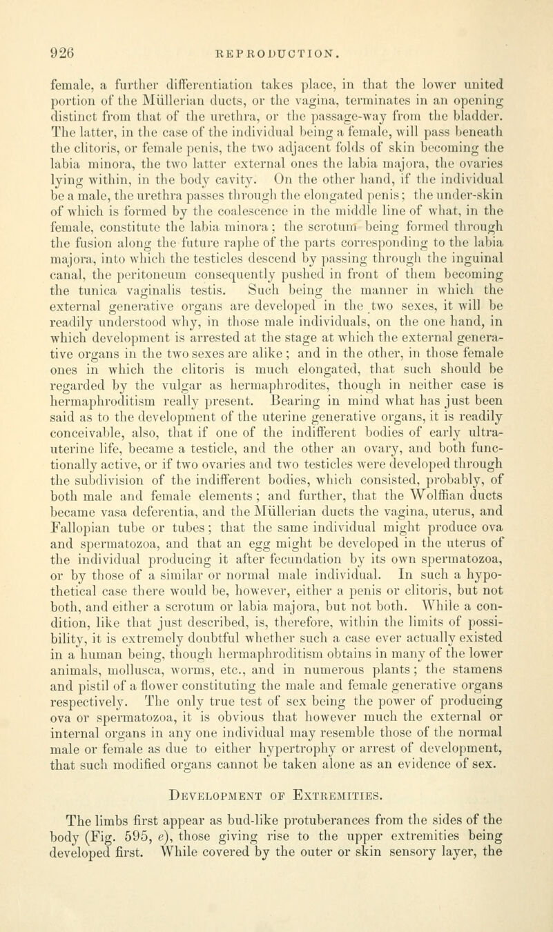 female, a further differentiation takes place, in that the lower united portion of the Miillerian ducts, or the vagina, terminates in an opening distinct from that of the urethra, or the passage-way from the bladder. The latter, in the case of the individual being a female, will pass beneath the clitoris, or female penis, the two adjacent folds of skin becoming the labia minora, the two latter external ones the labia majora, the ovaries lying within, in the body cavity. On the other hand, if the individual be a male, the urethra passes through the elongated penis; the under-skin of which is formed by the coalescence in the middle line of what, in the female, constitute the labia minora; the scrotum being formed through the fusion along the future raphe of the parts corresponding to the labia majora, into which the testicles descend by passing through the inguinal canal, the peritoneum consequently pushed in front of them becoming the tunica vaginalis testis. Such being the manner in which the external generative organs are developed in the two sexes, it will be readily understood why, in those male individuals, on the one hand, in which development is arrested at the stage at which the external genera- tive organs in the two sexes are alike; and in the other, in those female ones in which the clitoris is much elongated, that such should be regarded by the vulgar as hermaphrodites, though in neither case is hermaphroditism really present. Bearing in mind what has just been said as to the development of the uterine generative organs, it is readily conceivable, also, that if one of the indifferent bodies of early ultra- uterine life, became a testicle, and the other an ovary, and both func- tionally active, or if two ovaries and two testicles were developed through the subdivision of the indifferent bodies, which consisted, probably, of both male and female elements; and further, that the Wolffian ducts became vasa deferentia, and the Miillerian ducts the vagina, uterus, and Fallopian tube or tubes; that the same individual might produce ova and spermatozoa, and that an egg might be developed in the uterus of the individual producing it after fecundation by its own spermatozoa, or by those of a similar or normal male individual. In such a hypo- thetical case there would be, however, either a penis or clitoris, but not both, and either a scrotum or labia majora, but not both. While a con- dition, like that just described, is, therefore, within the limits of possi- bility, it is extremely doubtful whether such a case ever actually existed in a human being, though hermaphroditism obtains in many of the lower animals, mollusca, worms, etc., and in numerous plants ; the stamens and pistil of a flower constituting the male and female generative organs respectively. The only true test of sex being the power of producing ova or spermatozoa, it is obvious that however much the external or internal organs in any one individual may resemble those of the normal male or female as due to either hypertrophy or arrest of development, that such modified organs cannot be taken alone as an evidence of sex. Development of Extremities. The limbs first appear as bud-like protuberances from the sides of the body (Fig. 595, e), those giving rise to the upper extremities being developed first. While covered by the outer or skin sensory layer, the