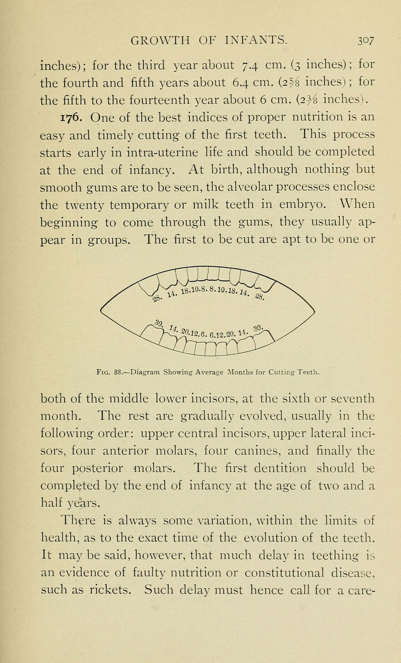 inches); for the third year about 74 cm. (3 inches); for the fourth and fifth years about 6.4 cm. (2^^ inches); for the fifth to the fourteenth year about 6 cm. {i^i inches^). 176. One of the best indices of proper nutrition is an easy and timely cutting of the first teeth. This process starts early in intra-uterine life and should be completed at the end of infancy. At birth, although nothing but smooth gums are to be seen, the alveolar processes enclose the twenty temporary or milk teeth in embryo. When beginning to come through the gums, they usually ap- pear in groups. The first to be cut are apt to be one or Fig. 88.—Diagram Showing Average Months for Cutting Teeth. both of the middle lower incisors, at the sixth or seventh month. The rest are gradually evolved, usually in the following order: upper central incisors, upper lateral inci- sors, four anterior molars, four canines, and finally the four posterior molars. The first dentition should be completed by the end of infancy at the age of two and a half years. There is always some variation, within the limits of health, as to the exact time of the evolution of the teeth. It may be said, however, that much delay in teething is an evidence of faulty nutrition or constitutional disease, such as rickets. Such delay must hence call for a care-