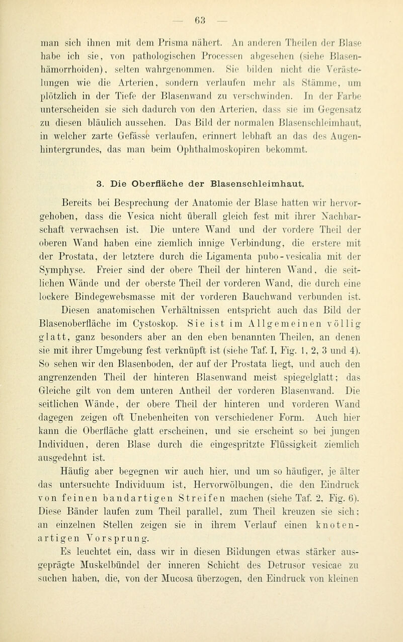 man sich ihnen mit dem Prisma nähert. An anrloren Thoilen der Blase habe ich sie, von pathologischen Processen abgesehen (siehe Blasen- hämorrhoiden). selten wahrgenommen. Sie bilden nicht die Veräste- lungen wie die Arterien, sondern verlaufen mehr als Stämme, um plötzlich in der Tiefe der Blasenwand zu verschwinden. In der Farbe unterscheiden sie sich dadurch von den Arterien, dass sie im Gegensatz zu diesen bläulich aussehen. Das Bild der normalen Blasenschleimhaut, in welcher zarte Gefässe verlaufen, erinnei't lebhaft an das des Augen- hintergrundes, das man beim Ophthalmoskopiren bekommt. 3. Die Oberfläche der Blasenschleimhaut. Bereits bei Besprechung der Anatomie der Blase hatten wir her\or- gehoben, dass die Vesica nicht überall gleich fest mit ihrer Nachbar- schaft verwachsen ist. Die untere Wand und der vordere Theil der oberen Wand haben eine ziemlich innige Verbindung, die erstere mit der Prostata, der letztere durch die Ligamenta pubo-vesicalia mit der Sjonphj^se. Freier sind der obere Theil der hinteren Wand, die seit- lichen Wände und der oberste Theil der vorderen Wand, die durch eine lockere Bindegewebsmasse mit der vorderen Bauchwand verbunden ist. Diesen anatomischen Verhältnissen entspricht auch das Bild der Blasenoberfläche im Cystoskop. Sie ist im Allgemeinen völlig glatt, ganz besonders aber an den eben benannten Theilen, an denen sie mit ihrer Umgebung fest verknüpft ist (siehe Taf. I, Fig. 1,2,3 und 4). So sehen wir den Blasenboden, der auf der Prostata liegt, und auch den angrenzenden Theil der hinteren Blasenwand meist spiegelglatt; das Gleiche gilt von dem unteren Antheil der vorderen Blasenwand. Die seitlichen Wände, der obere Theil der hinteren und vorderen Wand dagegen zeigen oft Unebenheiten von verschiedener Form. Auch hier kann die Oberfläche glatt erscheinen, und sie erscheint so bei jungen Individuen, deren Blase durch die eingespritzte Flüssigkeit ziemlich ausgedehnt ist. Häufig aber begegnen wir auch hier, und um so häufiger, je älter das untersuchte Individuum ist, Hervorwölbungen. die den Eindruck von feinen bandartigen Streifen machen (siehe Taf. 2, Fig. 6). Diese Bänder laufen zum Theil parallel, zum Theil kreuzen sie sich: an einzelnen Stellen zeigen sie in ihrem Verlauf einen knoten- artigen Vor Sprung. Es leuchtet ein, dass wir in diesen Bildungen etwas stärker aus- geprägte Muskelbündel der inneren Schicht des Detrusor vesicae zu suchen haben, die, von der Mucosa überzogen, den Eindruck von kleineu