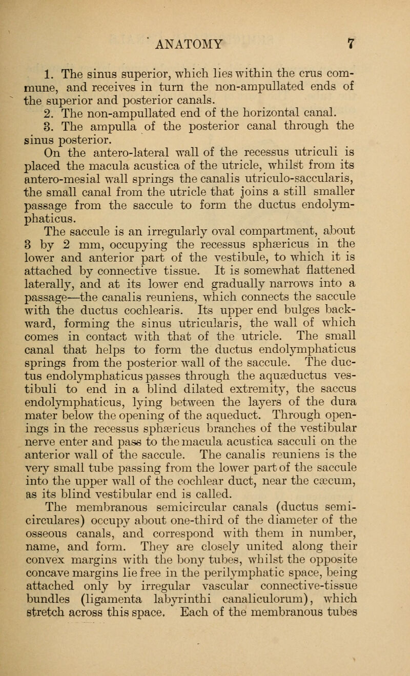 1. The sinus superior, which lies within the crus com- mune, and receives in turn the non-ampullated ends of the superior and posterior canals. 2. The non-ampullated end of the horizontal canal. 8. The ampulla of the posterior canal through the sinus posterior. On the antero-lateral wall of the recessus utriculi is placed the macula acustica of the utricle, whilst from its antero-mesial wall springs the canalis utriculo-saccularis, the small canal from the utricle that joins a still smaller passage from the saccule to form the ductus endolym- phaticus. The saccule is an irregularly oval compartment, about 8 by 2 mm, occupying the recessus sphsericus in the lower and anterior part of the vestibule, to w^hich it is attached by connective tissue. It is somewhat flattened laterally, and at its lower end gradually narrows into a passage—the canalis reuniens, which connects the saccule with the ductus cochlearis. Its upper end bulges back- ward, forming the sinus utricularis, the wall of which comes in contact with that of the utricle. The small canal that helps to form the ductus endolymphaticus springs from the posterior wall of the saccule. The duc- tus endol}miphaticus passes through the aquseductus ves- tibuli to end in a blind dilated extremity, the saccus endol}Txiphaticus, lying between the layers of the dura mater below the opening of the aqueduct. Through open- ings in the recessus sphsericus branches of the vestibular nerve enter and pass to the macula acustica sacculi on the anterior wall of the saccule. The canalis reuniens is the very small tube passing from the lower part of the saccule into the upper wall of the cochlear duct, near the caecum, as its blind vestibular end is called. The membranous semicircular canals (ductus semi- circulares) occupy about one-third of the diameter of the osseous canals, and correspond with them in number, name, and form. They are closely united along their convex margins with the bony tubes, whilst the opposite concave margins lie free in the perilymphatic space, being attached only by irregular vascular connective-tissue bundles (ligamenta labyrinthi canaliculorum), which stretch across this space. Each of the membranous tubes