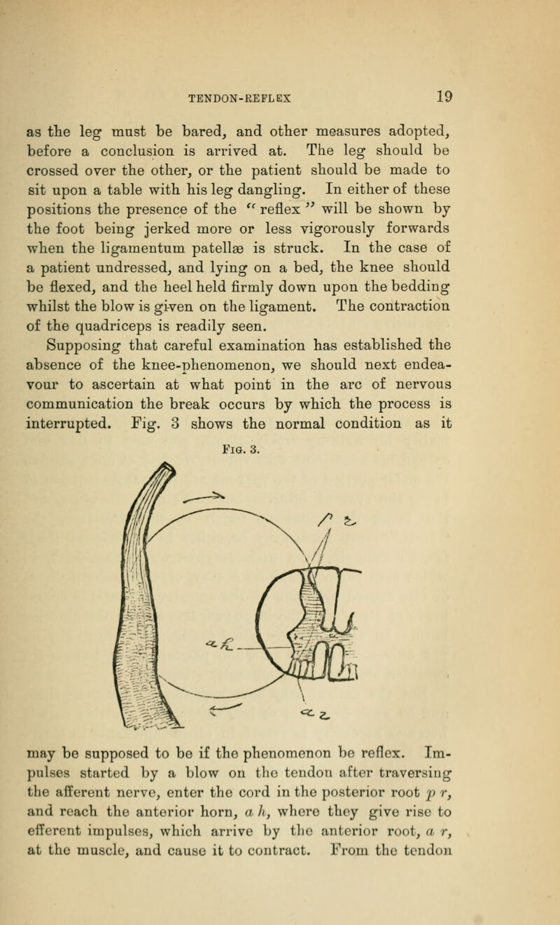 as the leg must be bared, and other measures adopted, before a conclusion is arrived at. The leg should be crossed over the other, or the patient should be made to sit upon a table with his leg dangling. In either of these positions the presence of the  reflex  will be shown by the foot being jerked more or less vigorously forwards when the ligamentum patellae is struck. In the case of a patient undressed, and lying on a bed, the knee should be flexed, and the heel held firmly down upon the bedding whilst the blow is given on the ligament. The contraction of the quadriceps is readily seen. Supposing that careful examination has established the absence of the knee-phenomenon, we should next endea- vour to ascertain at what point in the arc of nervous communication the break occurs by which the process is interrupted. Fig. 3 shows the normal condition as it Fig. 3. may be supposed to be if the phenomenon be reflex. Im- pulses started by a blow on the tendon after traversing the afferent nerve, enter the cord in the posterior root p r, and reach the anterior horn, a h, where they give rise to efferent impulses, which arrive by tlie anterior root, a r, at the muscle, and cause it to contract. From the tendon