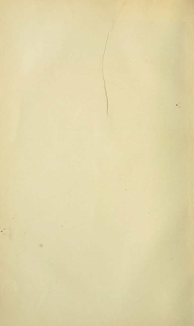 digitised image 2