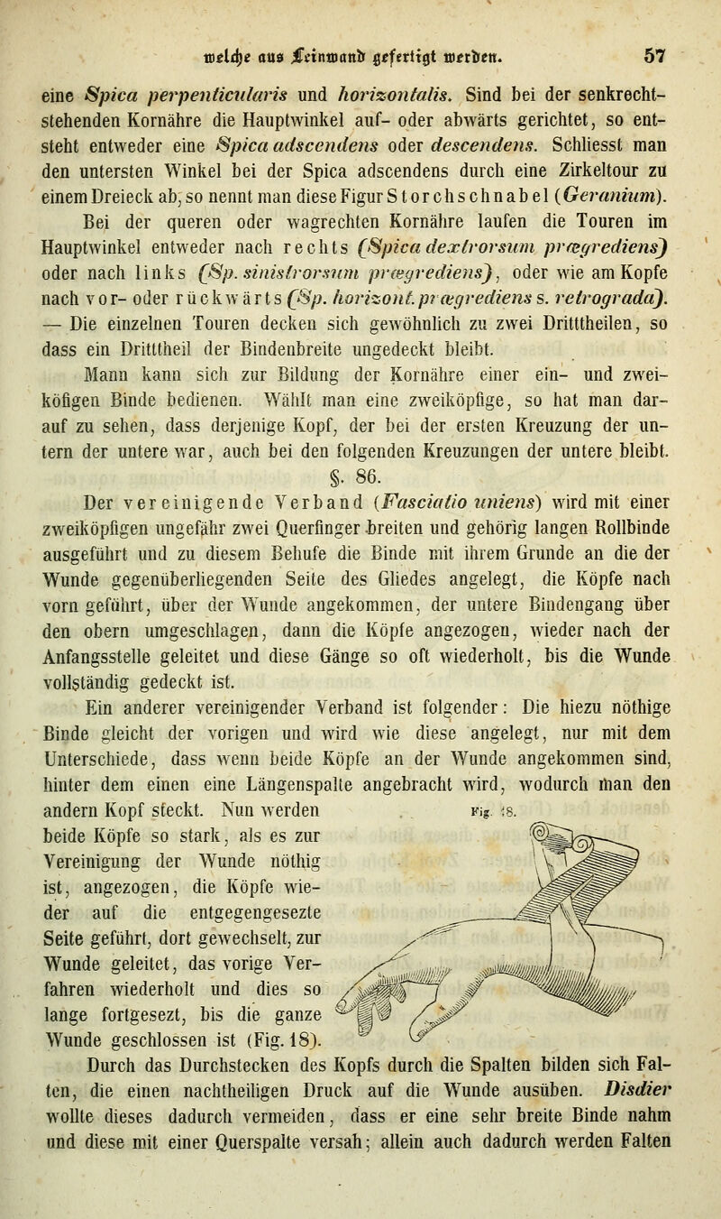 eine Spica perpenticnlaris und horizontalis. Sind bei der senkrecht- stehenden Kornähre die Hauptwinkel auf- oder abwärts gerichtet, so ent- steht entweder eine Spica adscetidens oder descendeiis. SchUesst man den untersten Winkel bei der Spica adscendens durch eine Zirkeltour zu einem Dreieck ab, so nennt man diese Figur Storchschnabel( Geranmm). Bei der queren oder wagrechten Kornähre laufen die Touren im Hauptwinkel entweder nach rechts (ßpicadextrorsum prfcgrediens) oder nach links (ßp. sinistrorsum prcegrediens^^ oder wie am Kopfe nach V o r- oder rückwärts (ßp. horizont p? wf/rediens s. retrogradci). — Die einzelnen Touren decken sich gewöhnlich zu zwei Dritttheilen, so dass ein Dritttheil der Bindenbreite ungedeckt bleibt. Mann kann sich zur Bildung der Kornähre einer ein- und zwei- köfigen Binde bedienen. Wählt man eine zweiköpfige, so hat man dar- auf zu sehen, dass derjenige Kopf, der bei der ersten Kreuzung der un- tern der untere war, auch bei den folgenden Kreuzungen der untere bleibt. §. 86. Der vereinigende Verband {Fasciaüo iiniens) wird mit einer zweiköpfigen ungefähr zwei Querfinger -breiten und gehörig langen Rollbinde ausgeführt und zu diesem Behufe die Binde mit ihrem Grunde an die der Wunde gegenüberhegenden Seite des Ghedes angelegt, die Köpfe nach vorn geführt, über der W'unde angekommen, der untere Bindengang über den obern umgeschlagen, dann die Köpfe angezogen, wieder nach der Anfangsstelle geleitet und diese Gänge so oft wiederholt, bis die Wunde vollständig gedeckt ist. Ein anderer vereinigender Verband ist folgender: Die hiezu nöthige Binde gleicht der vorigen und wird wie diese angelegt, nur mit dem Unterschiede, dass wenn beide Köpfe an der Wunde angekommen sind, hinter dem einen eine Längenspalie angebracht wird, wodurch ihan den andern Kopf steckt. Nun Averden beide Köpfe so stark, als es zur Vereinigung der Wunde nöthig ist, angezogen, die Köpfe wie- der auf die entgegengesezte Seite geführt, dort gewechselt, zur Wunde geleitet, das vorige Ver- fahren wiederholt und dies so lange fortgesezt, bis die ganze Wunde geschlossen ist (Fig. 18). Durch das Durchstecken des Kopfs durch die Spalten bilden sich Fal- ten, die einen nachtheiligen Druck auf die W^unde ausüben. Disdier wollte dieses dadurch vermeiden, dass er eine sehr breite Binde nahm und diese mit einer Querspalte versah; allein auch dadurch werden Falten