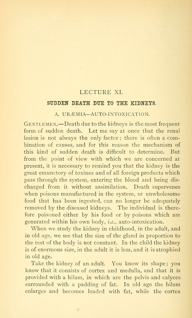 SUDDEN DEATH DUE TO THE KIDNEYS. A. UREMIA—AUTO-INTOXICATION. Gentlemen,—Death due to the kidneys is the most frequent form of sudden death. Let me say at once that the renal lesion is not always the only factor; there is often a com- bination of causes, and for this reason the mechanism of this kind of sudden death is difficult to determine. But from the point of view with which we are concerned at present, it is necessary to remind you that the kidney is the great emunctory of toxines and of all foreign products which pass through the system, entering the blood and being dis- charged from it without assimilation. Death supervenes when poisons manufactured in the system, or unwholesome food that has been ingested, can no longer be adequately removed by the diseased kidneys. The individual is there- fore poisoned either by his food or by poisons which are generated within his own body, i.e., auto-intoxication. When we study the kidney in childhood, in the adult, and in old age, we see that the size of the gland in proportion to the rest of the body is not constant. In the child the kidney is of enormous size, in the adult it is less, and it is atrophied in old age. Take the kidney of an adult. You know its shape; you know that it consists of cortex and medulla, and that it is provided with a hilum, in which are the pelvis and calyces surrounded with a padding of fat. In old age the hilum enlarges and becomes loaded with fat, while the cortex