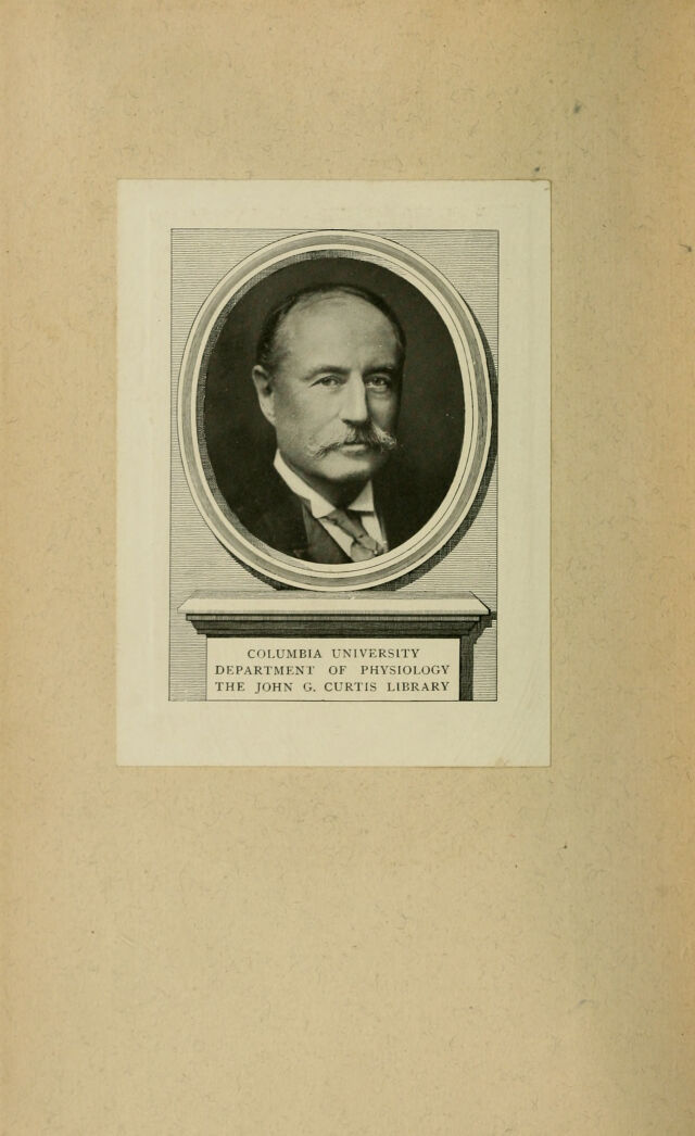 digitised image 2