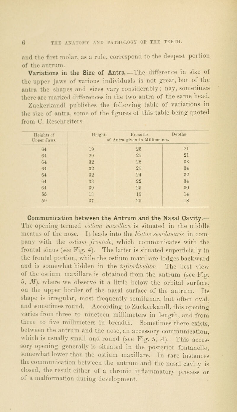 an.l tlie first molar, as a rule, correspond to the deepest portion of the antrum. Variations in the Size of Antra.—The difterence in size of the upi-er jaws of various individuals is not great, but of the antra the shapes and sizes vary considerably; nay, sometimes there are marked differences in the two antra of the same head. Zuckerkandl publishes the following table of variations in the size of antra, some of the figures of this table being quoted from C. Reschreiters: Heights of Upper Jaw?. Heights Breadths Depths of Antra given in Millimeters. 64 19 25 21 64 29 25 21 64 32 28 83 64 32 25 34 64 32 24 32 64 38 22 34 64 39 25 SO 56 13 15 14 59 37 29 18 Communication between the Antrum and the Nasal Cavity.— The opening termed ostiojii ma.rjjlart is situated in the middle meatus of the nose. It leads into the hiatus semilunaris in com- pany with the ostium fronUde, which communicates with the frontal sinus (see Fig. 4). The latter is situated superficially in the frontal portion, while the ostium maxillare lodges backward and is somewhat hidden in the infundibulum. The best view of the ostium maxillare is obtained from the antrum (see Fig. 5, M), where Ave observe it a little below the orbital surface, on the upper border of the nasal surface of the antrum. Its shape is irregular, most frequently semilunar, but often oval, and sometimes round. According to Zuckerkandl, this opening varies from three to nineteen millimeters in length, and from three to five millimeters in breadth. Sometimes there exists, between the antrum and the nose, an accessory communication, which is usually small and round (see Fig. 5, A). This acces- sory opening generally is situated in the posterior fontanelle, somewhat lower than the ostium maxillare. In rare instances the communication bet^veen the antrum and the nasal cavity is closed, the result either of a chronic infiammatory process or of a malformation during development.