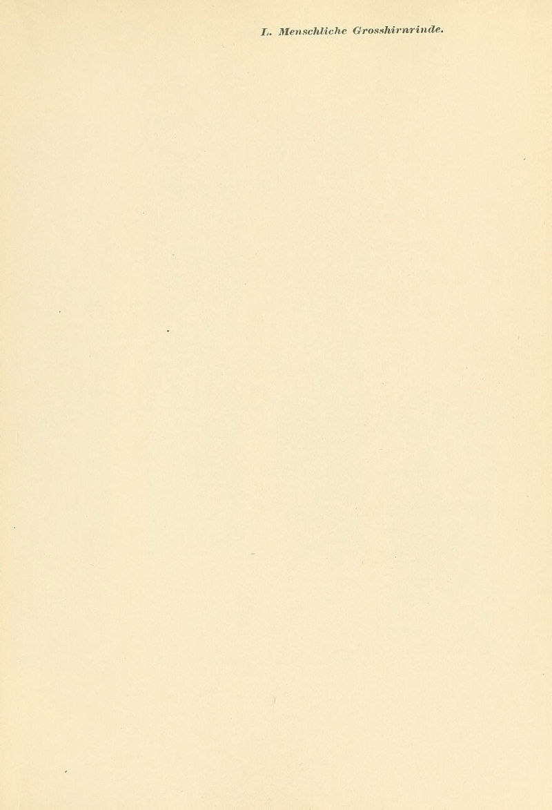 L. Menschliche Grosshirnrinde.