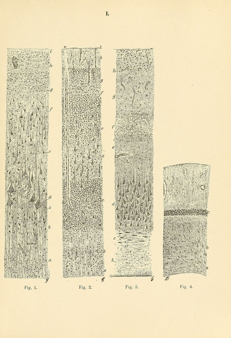 I ■•/• i-^ivJ-1;^-«*^'; > - ; ;£<' .i'i'^in';»;)'^').^