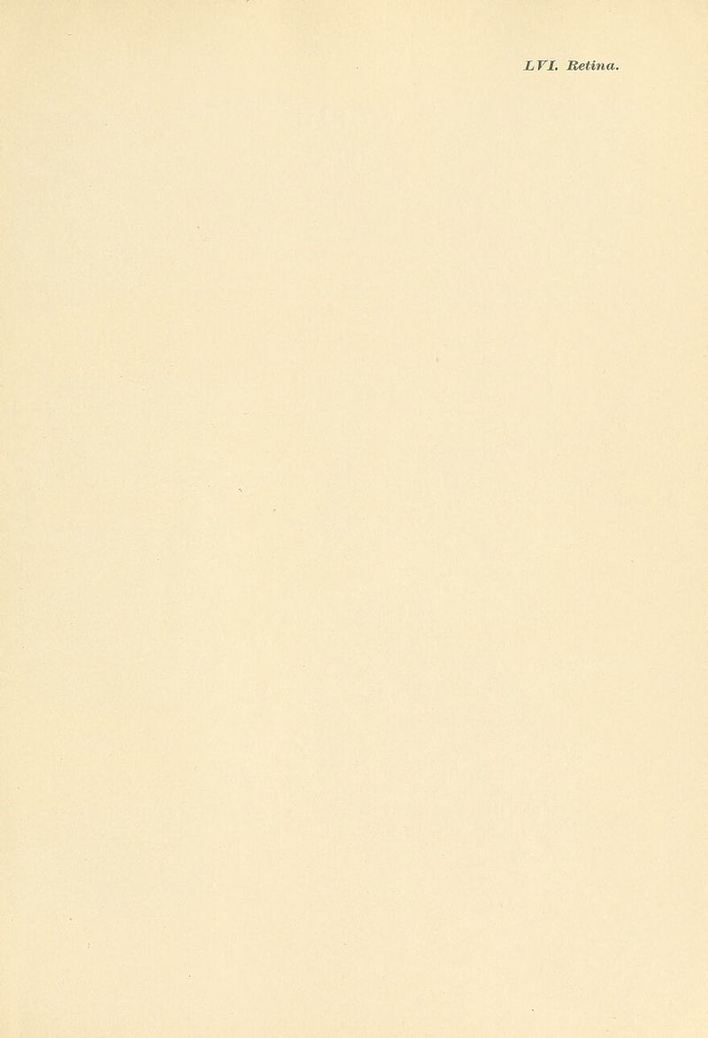 LVI. Retina.
