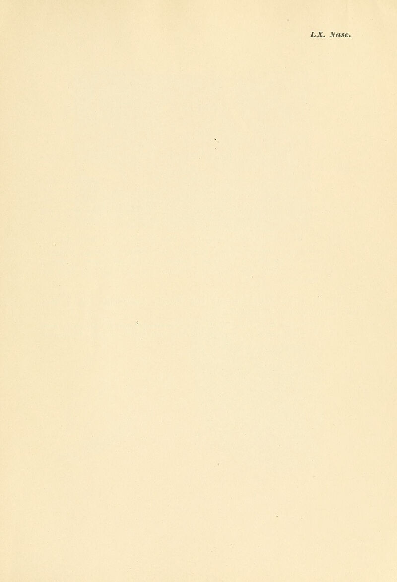 LX. Nase.