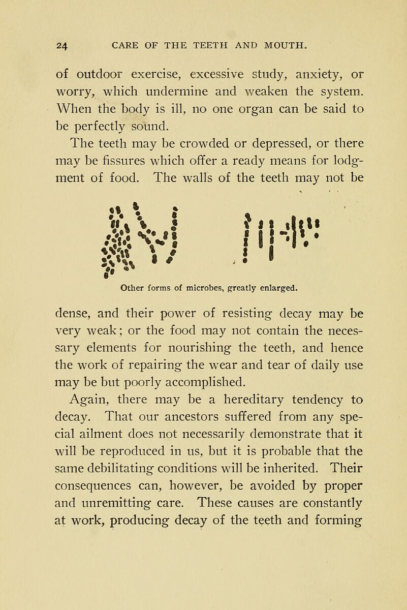 of outdoor exercise, excessive study, anxiety, or worry, which undermine and weaken the system. When the body is ill, no one organ can be said to be perfectly sound. The teeth may be crowded or depressed, or there may be fissures which offer a ready means for lodg- ment of food. The walls of the teeth may not be Other forms of microbes, greatly enlarged. dense, and their power of resisting decay may be very weak; or the food may not contain the neces- sary elements for nourishing the teeth, and hence the work of repairing the wear and tear of daily use may be but poorly accomplished. Again, there may be a hereditary tendency to decay. That our ancestors suffered from any spe- cial ailment does not necessarily demonstrate that it will be reproduced in us, but it is probable that the same debilitating conditions will be inherited. Their consequences can, however, be avoided by proper and unremitting care. These causes are constantly at work, producing decay of the teeth and forming