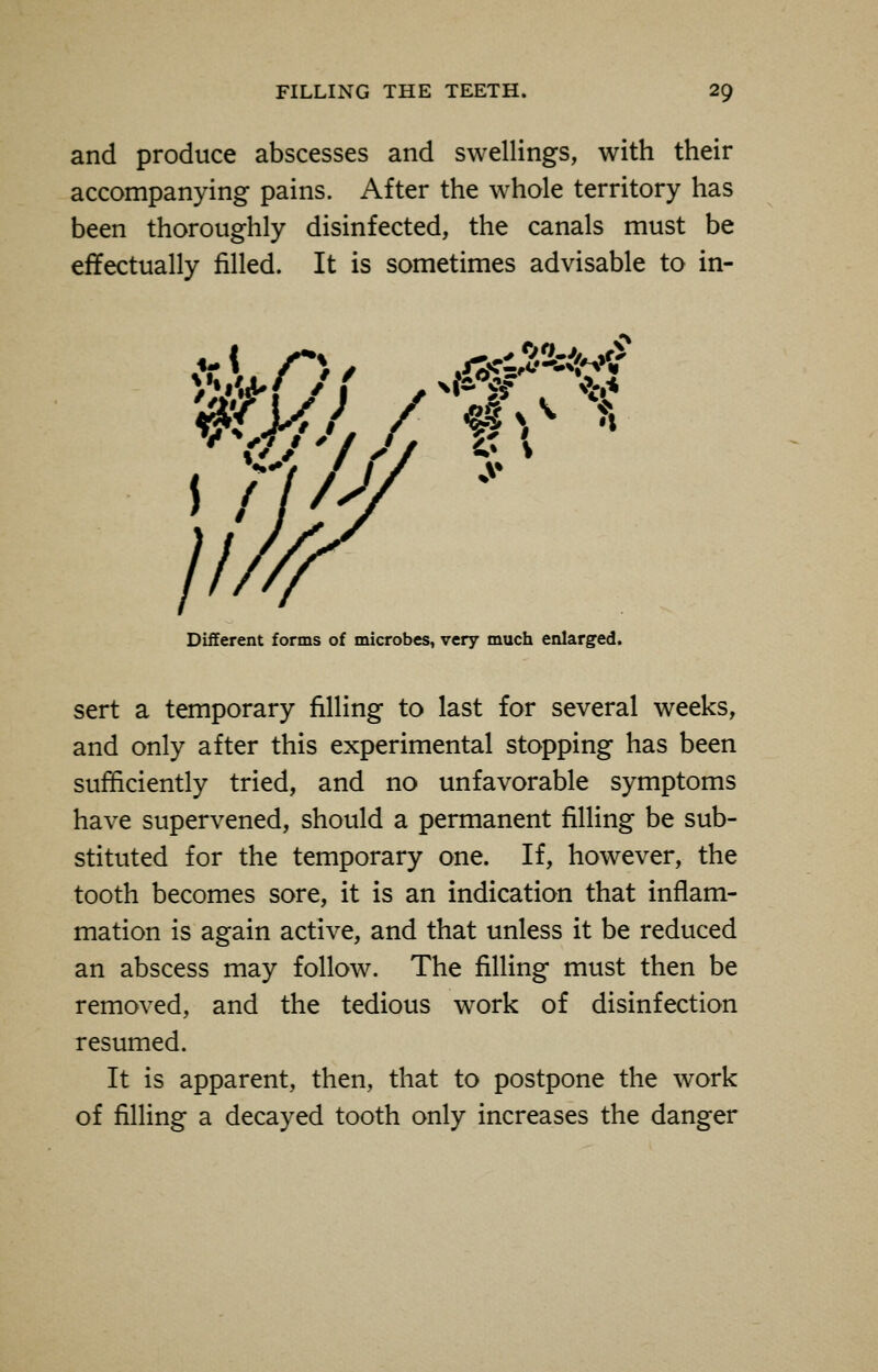 and produce abscesses and swellings, with their accompanying pains. After the whole territory has been thoroughly disinfected, the canals must be effectually filled. It is sometimes advisable to in- OfU* A ** If * 1» \ Different forms of microbes, very much enlarged. sert a temporary filling to last for several weeks, and only after this experimental stopping has been sufficiently tried, and no unfavorable symptoms have supervened, should a permanent filling be sub- stituted for the temporary one. If, however, the tooth becomes sore, it is an indication that inflam- mation is again active, and that unless it be reduced an abscess may follow. The filling must then be removed, and the tedious work of disinfection resumed. It is apparent, then, that to postpone the work of filling a decayed tooth only increases the danger