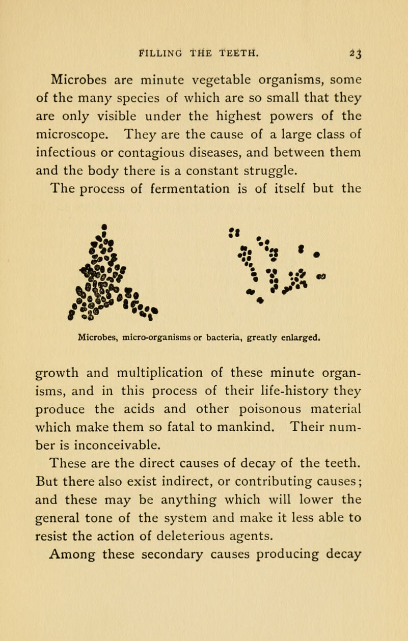 Microbes are minute vegetable organisms, some of the many species of which are so small that they are only visible under the highest powers of the microscope. They are the cause of a large class of infectious or contagious diseases, and between them and the body there is a constant struggle. The process of fermentation is of itself but the ••. Hit ,fv,« *3 « . Microbes, micro-organisms or bacteria, greatly enlarged. growth and multiplication of these minute organ- isms, and in this process of their life-history they produce the acids and other poisonous material which make them so fatal to mankind. Their num- ber is inconceivable. These are the direct causes of decay of the teeth. But there also exist indirect, or contributing causes; and these may be anything which will lower the general tone of the system and make it less able to resist the action of deleterious agents. Among these secondary causes producing decay