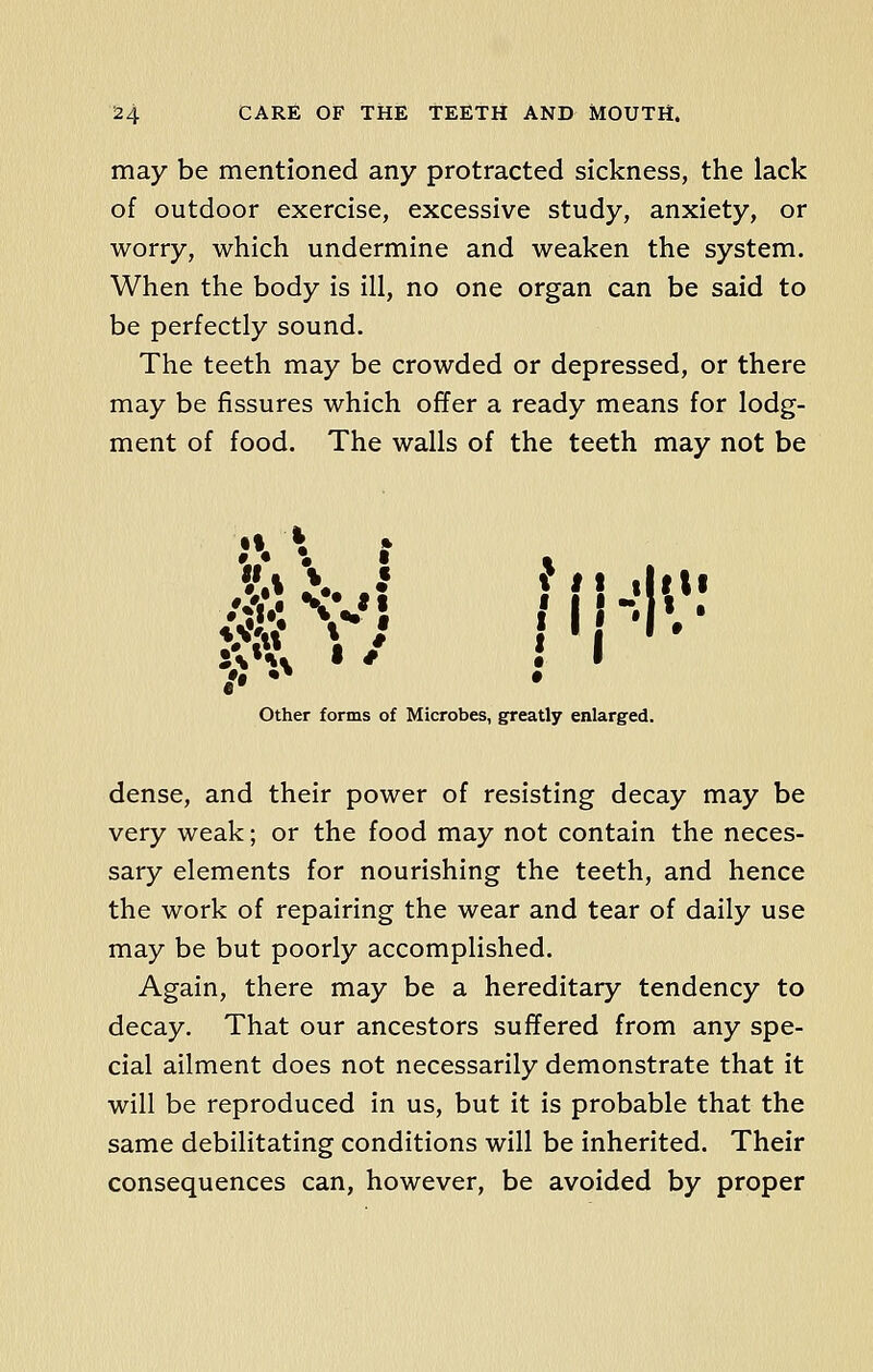 may be mentioned any protracted sickness, the lack of outdoor exercise, excessive study, anxiety, or worry, which undermine and weaken the system. When the body is ill, no one organ can be said to be perfectly sound. The teeth may be crowded or depressed, or there may be fissures which offer a ready means for lodg- ment of food. The walls of the teeth may not be fii* Other forms of Microbes, greatly enlarged. dense, and their power of resisting decay may be very weak; or the food may not contain the neces- sary elements for nourishing the teeth, and hence the work of repairing the wear and tear of daily use may be but poorly accomplished. Again, there may be a hereditary tendency to decay. That our ancestors suffered from any spe- cial ailment does not necessarily demonstrate that it will be reproduced in us, but it is probable that the same debilitating conditions will be inherited. Their consequences can, however, be avoided by proper