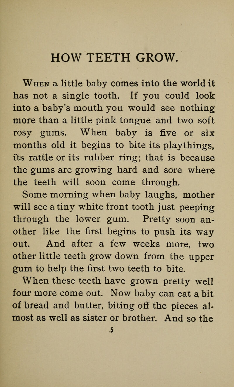 HOW TEETH GROW. When a little baby comes into the world it has not a single tooth. If you could look into a baby's mouth you would see nothing more than a little pink tongue and two soft rosy gums. When baby is five or six months old it begins to bite its playthings, its rattle or its rubber ring; that is because the gums are growing hard and sore where the teeth will soon come through. Some morning when baby laughs, mother will see a tiny white front tooth just peeping through the lower gum. Pretty soon an- other like the first begins to push its way out. And after a few weeks more, two other little teeth grow down from the upper gum to help the first two teeth to bite. When these teeth have grown pretty well four more come out. Now baby can eat a bit of bread and butter, biting off the pieces al- most as well as sister or brother. And so the