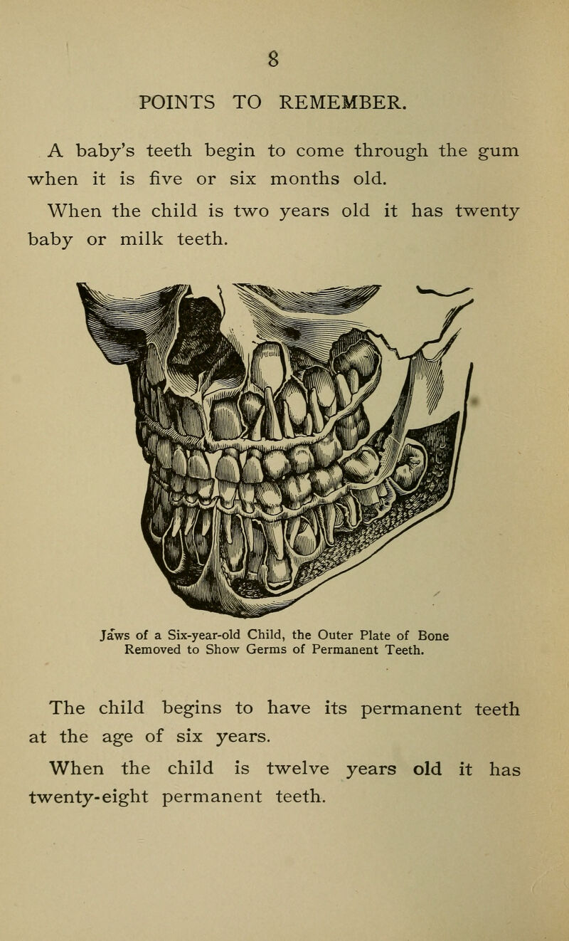 POINTS TO REMEMBER. A baby's teeth begin to come through the gum when it is five or six months old. When the child is two years old it has twenty baby or milk teeth. Jaws of a Six-year-old Child, the Outer Plate of Bone Removed to Show Germs of Permanent Teeth. The child begins to have its permanent teeth at the age of six years. When the child is twelve years old it has twenty-eight permanent teeth.