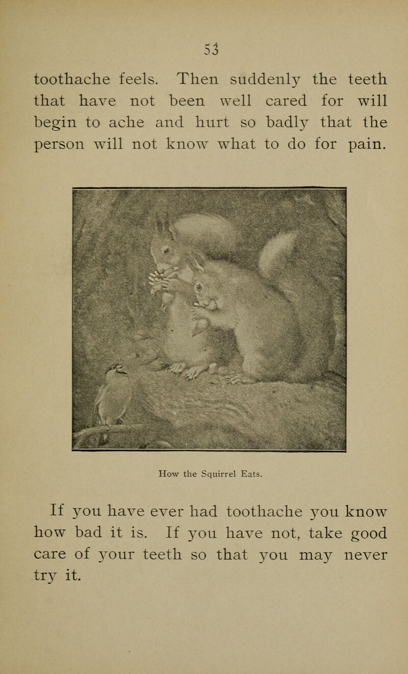 toothache feels. Then suddeiil}T the teeth that have not been well cared for will begin to ache and hurt so badly that the person will not know what to do for pain. How the Squirrel Eats. If }Tou have ever had toothache 37ou know how bad it is. If yon have not, take good care of your teeth so that you may never trv it.