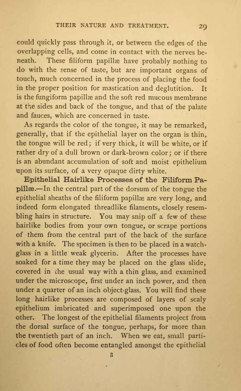 could quickly pass through it, or between the edges of the overlapping cells, and come in contact with the nerves be- neath. These filiform papillae have probably nothing to do with the sense of taste, but are important organs of touch, much concerned in the process of placing the food in the proper position for mastication and deglutition. It is the fungiform papillae and the soft red mucous membrane at the sides and back of the tongue, and that of the palate and fauces, which are concerned in taste. As regards the color of the tongue, it may be remarked, generally, that if the epithelial layer on the organ is thin, the tongue will be red; if very thick, it will be white, or if rather dry of a dull brown or dark-brown color; or if there is an abundant accumulation of soft and moist epithelium upon its surface, of a very opaque dirty white. Epithelial Hairlike Processes of the Filiform Pa- pillse.—In the central part of the dorsum of the tongue the epithelial sheaths of the filiform papilla are very long, and indeed form elongated threadlike filaments, closely resem- bling hairs in structure. You may snip off a few of these hairlike bodies from your own tongue, or scrape portions of them from the central part of the back of the surface with a knife. The specimen is then to be placed in a watch- glass in a little weak glycerin. After the processes have soaked for a time they may be placed on the glass slide, covered in the usual way with a thin glass, and examined under the microscope, first under an inch power, and then under a quarter of an inch object-glass. You will find these long hairlike processes are composed of layers of scaly epithelium imbricated and superimposed one upon the other. The longest of the epithelial filaments project from the dorsal surface of the tongue, perhaps, for more than the twentieth part of an inch. When we eat, small parti- cles of food often become entangled amongst the epithelial 3