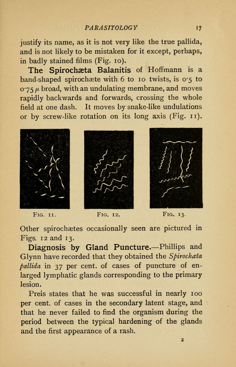 justify its name, as it is not very like the true pallida, and is not likely to be mistaken for it except, perhaps, in badly stained films (Fig. lo). The Spirochaeta Balanitis of Hoffmann is a band-shaped spirochaete with 6 to lo twists, is 0*5 to 0*75 /x broad, with an undulating membrane, and moves rapidly backwards and forwards, crossing the whole field at one dash. It moves by snake-like undulations or by screw-like rotation on its long axis (Fig. 11). Fig. II. Fig. 12. Fig. 13. Other spirochaetes occasionally seen are pictured in Figs, 12 and 13. Diagnosis by Gland Puncture.—Phillips and Glynn have recorded that they obtained the Spivochata pallida in 37 per cent, of cases of puncture of en- larged lymphatic glands corresponding to the primary lesion. Preis states that he was successful in nearly 100 per cent, of cases in the secondary latent stage, and that he never failed to find the organism during the period between the typical hardening of the glands and the first appearance of a rash.