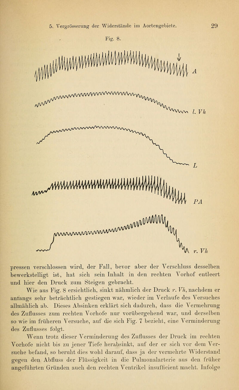 Fi-. 8. l. Vh ^^^^^^^ymmmmMM)^ PA Vh pressen versdilossen wird, der Fall, bevor aber der Verschluss desselben bewerkstelligt ist, hat sich sein Inhalt in den rechten Vorhof entleert und hier den Druck zum Steigen gebracht. Wie aus Fig. 8 ersichtlich, sinkt nähmlich der Druck r. Vh, nachdem er anfangs sehr beträchtlich gestiegen war, wieder im Verlaufe des Versuches allmählich ab. Dieses Absinken erklärt sich dadurch, dass die Vermehrung des Zuflusses zum rechten Vorhofe nur vorübergehend war, und derselben so wie im früheren Versuche, auf die sich Fig. 7 bezieht, eine Verminderung des Zuflusses folgt. Wenn trotz dieser Verminderung des Zuflusses der Druck im rechten Vorhofe nicht bis zu jener Tiefe herabsinkt, auf der er sich vor dem Ver- suche befand, so beruht dies wohl darauf, dass ja der vermehrte Widerstand gegen den Abfluss der Flüssigkeit in die Pulmonalarterie aus den früher angeführten Gründen auch den rechten Ventrikel insufficient macht. Infolge