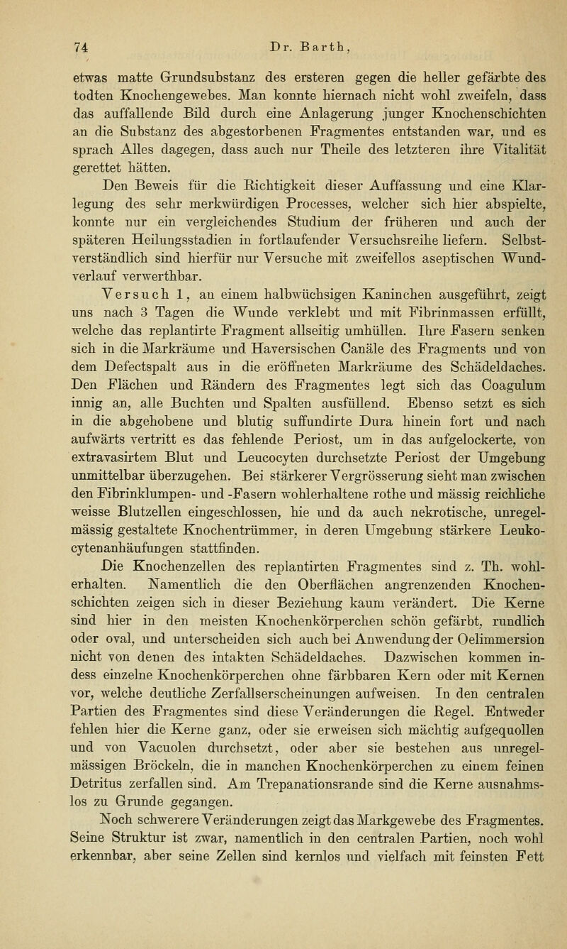 etwas matte Grrundsubstanz des ersteren gegen die heller gefärbte des todten Knochengewebes. Man konnte hiernach nicht wohl zweifeln, dass das auffallende Bild durch eine Anlagerung junger Knochenschichten an die Substanz des abgestorbenen Fragmentes entstanden war, und es sprach Alles dagegen, dass auch nur Theile des letzteren ihre Vitalität gerettet hätten. Den Beweis für die Richtigkeit dieser Auffassung und eine Klar- legung des sehr merkwürdigen Processes, welcher sich hier abspielte, konnte nur ein vergleichendes Studium der früheren und auch der späteren Heilungsstadien in fortlaufender Yersuchsreihe liefern. Selbst- verständlich sind hierfür nur Versuche mit zweifellos aseptischen Wund- verlauf verwerthbar. Versuch 1, an einem halbwüchsigen Kaninchen ausgeführt, zeigt uns nach 3 Tagen die Wunde verklebt und mit Fibrinmassen erfüllt, welche das replantirte Fragment allseitig umhüllen. Ihre Fasern senken sich in die Markräume und Haversischen Canäle des Fragments und von dem Defectspalt aus in die eröffneten Markräume des Schädeldaches. Den Flächen und Bändern des Fragmentes legt sich das Coagulum innig an, alle Buchten und Spalten ausfüllend. Ebenso setzt es sich in die abgehobene und blutig suffundirte Dura hinein fort und nach aufwärts vertritt es das fehlende Periost, um in das aufgelockerte, von extravasirtem Blut und Leucocyten durchsetzte Periost der Umgebung unmittelbar überzugehen. Bei stärkerer Vergrösserung sieht man zwischen den Fibrinklumpen- und -Fasern wohlerhaltene rothe und massig reichhche weisse Blutzellen eingeschlossen, hie und da auch nekrotische, unregel- mässig gestaltete Knochentrümmer, in deren Umgebung stärkere Leuko- cytenanhäufungen stattfinden. Die Knochenzellen des replantirten Fragmentes sind z. Th. wohl- erhalten. Namentlich die den Oberflächen angrenzenden Knochen- schichten zeigen sich in dieser Beziehung kaum verändert. Die Kerne sind hier in den meisten Knochenkörperchen schön gefärbt, rundlich oder oval, und unterscheiden sich auch bei Anwendung der Oelimmersion nicht von denen des intakten Schädeldaches. Dazwischen kommen in- dess einzelne Knochenkörperchen ohne färbbaren Kern oder mit Kernen vor, welche deutliche Zerfallserscheinungen aufweisen. In den centralen Partien des Fragmentes sind diese Veränderungen die Regel. Entweder fehlen hier die Kerne ganz, oder sie erweisen sich mächtig aufgequollen und von Vacuolen durchsetzt, oder aber sie bestehen aus unregel- mässigen Bröckeln, die in manchen Knochenkörperchen zu einem feinen Detritus zerfallen sind. Am Trepanationsrande sind die Kerne ausnahms- los zu Grunde gegangen. Noch schwerere Veränderungen zeigt das Markgewebe des Fragmentes. Seine Struktur ist zwar, namentlich in den centralen Partien, noch wohl erkennbar, aber seine Zellen sind kernlos und vielfach mit feinsten Fett