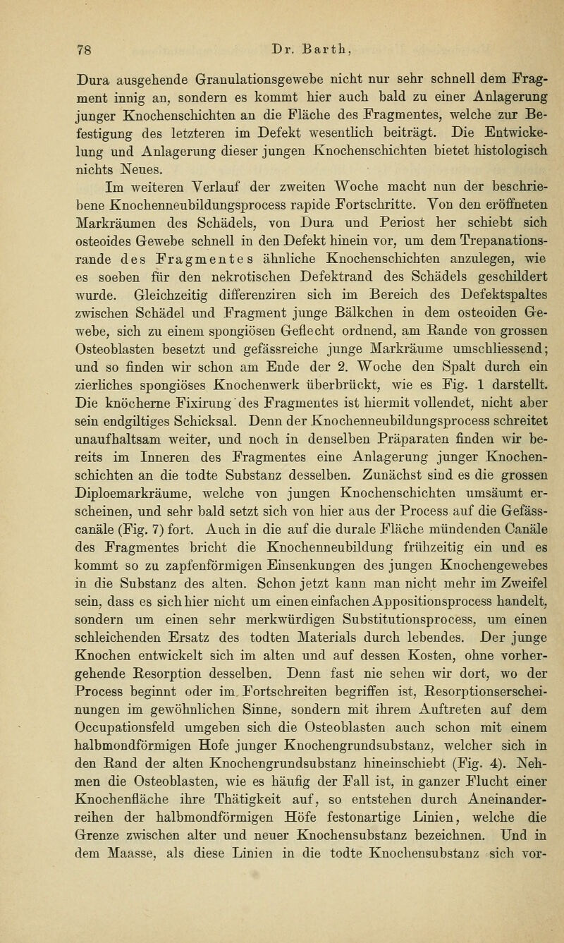 Dura ausgehende Granulationsgewebe nicht nur sehr schnell dem Frag- ment innig an, sondern es kommt hier auch bald zu einer Anlagerung junger Knochenschichten an die Fläche des Fragmentes, welche zur Be- festigung des letzteren im Defekt wesentlich beiträgt. Die Entwicke- lung und Anlagerung dieser jungen Knochenschichten bietet histologisch nichts Neues. Im weiteren Verlauf der zweiten Woche macht nun der beschrie- bene Knochenneubildungsprocess rapide Fortschritte. Von den eröffneten Markräumen des Schädels, von Dura und Periost her schiebt sich osteoides Gewebe schnell in den Defekt hinein vor, um dem Trepanations- rande des Fragmentes ähnliche Knochenschichten anzulegen, wie es soeben für den nekrotischen Defektrand des Schädels geschildert w^urde. Gleichzeitig differenziren sich im Bereich des Defektspaltes zwischen Schädel und Fragment junge Bälkchen in dem osteoiden Ge- webe, sich zu einem spongiösen Geflecht ordnend, am Rande von grossen Osteoblasten besetzt und gefässreiche junge Markräume umschliessend; und so finden wir schon am Ende der 2. Woche den Spalt durch ein zierliches spongiöses Knochenwerk überbrückt, wie es Fig. 1 darstellt. Die knöcherne Fixirungdes Fragmentes ist hiermit vollendet, nicht aber sein endgiltiges Schicksal. Denn der Knochenneubildungsprocess schreitet unaufhaltsam weiter, und noch in denselben Präparaten finden wir be- reits im Inneren des Fragmentes eine Anlagerung junger Knochen- schichten an die todte Substanz desselben. Zunächst sind es die grossen Diploemarkräume, welche von jungen Knochenschichten umsäumt er- scheinen, und sehr bald setzt sich von hier aus der Process auf die Gefäss- canäle (Fig. 7) fort. Auch in die auf die durale Fläche mündenden Canäle des Fragmentes bricht die Knochenneubildung frühzeitig ein und es kommt so zu zapfenförmigen Einsenkungen des jungen Knochengewebes in die Substanz des alten. Schon jetzt kann man nicht mehr im Zweifel sein, dass es sich hier nicht um einen einfachen Appositionsprocess handelt, sondern um einen sehr merkwürdigen Substitutionsprocess, um einen schleichenden Ersatz des todten Materials durch lebendes. Der junge Knochen entwickelt sich im alten und auf dessen Kosten, ohne vorher- gehende Resorption desselben. Denn fast nie sehen wir dort, wo der Process beginnt oder im Fortschreiten begriffen ist, Resorptionserschei- nungen im gewöhnlichen Sinne, sondern mit ihrem Auftreten auf dem Occupationsfeld umgeben sich die Osteoblasten auch schon mit einem halbmondförmigen Hofe junger Knochengrundsubstanz, welcher sich in den Rand der alten Knochengrundsubstanz hineinschiebt (Fig. 4). Neh- men die Osteoblasten, wie es häufig der Fall ist, in ganzer Flucht einer Knochenfläche ihre Thätigkeit auf, so entstehen durch Aneinander- reihen der halbmondförmigen Höfe festonartige Linien, welche die Grenze zwischen alter und neuer Knochensubstanz bezeichnen. Und in dem Maasse, als diese Linien in die todte Knochensubstanz sich vor-