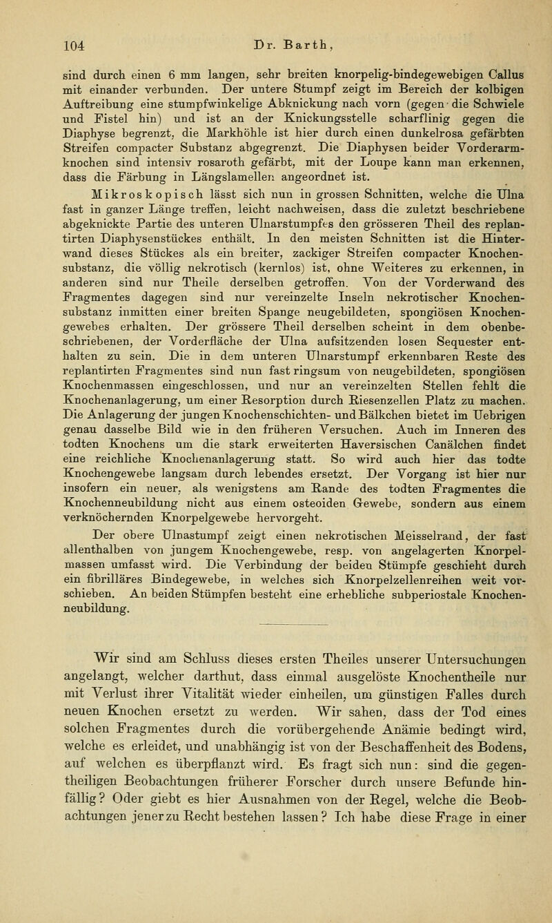 sind durch einen 6 mm langen, sehr breiten knorpelig-bindegewebigen Callus mit einander verbunden. Der untere Stumpf zeigt im Bereich der kolbigen Auftreibung eine stumpfwinkelige Abknickung nach vorn (gegen • die Schwiele und Fistel hin) und ist an der Knickungsstelle scharflinig gegen die Diaphyse begrenzt, die Markhöhle ist hier durch einen dunkelrosa gefärbten Streifen compacter Substanz abgegrenzt. Die Diaphysen beider Vorderarm- knochen sind intensiv rosaroth gefärbt, mit der Loupe kann man erkennen, dass die Färbung in Längslamellen angeordnet ist. Mikroskopisch lässt sich nun in grossen Schnitten, welche die Ulna fast in ganzer Länge treffen, leicht nachweisen, dass die zuletzt beschriebene abgeknickte Partie des unteren Ulnarstumpfes den grösseren Theil des replan- tirten Diaphysenstückes enthält. In den meisten Schnitten ist die Hinter- wand dieses Stückes als ein breiter, zackiger Streifen compacter Knochen- substanz, die völlig nekrotisch (kernlos) ist, ohne Weiteres zu erkennen, in anderen sind nur Theile derselben getroffen. Von der Vorderwand des Fragmentes dagegen sind nur vereinzelte Inseln nekrotischer Knochen- substanz inmitten einer breiten Spange neugebildeten, spongiösen Knochen- gewebes erhalten. Der grössere Theil derselben scheint in dem obenbe- schriebenen, der Vorderfläche der Ulna aufsitzenden losen Sequester ent- halten zu sein. Die in dem unteren TJlnarstumpf erkennbaren B,este des replantirten Fragmentes sind nun fast ringsum von neugebildeten, spongiösen Knochenmassen eingeschlossen, und nur an vereinzelten Stellen fehlt die Knochenanlagerung, um einer B-esorption durch Biesenzellen Platz zu machen. Die Anlagerung der jungen Knochenschichten- und Bälkchen bietet im TJebrigen genau dasselbe Bild wie in den früheren Versuchen. Auch im Inneren des todten Knochens um die stark erweiterten Haversischen Canälchen findet eine reichliche Knochenanlagerung statt. So wird auch hier das todte Knochengewebe langsam durch lebendes ersetzt. Der Vorgang ist hier nur insofern ein neuer, als wenigstens am Bande des todten Fragmentes die Knochenneubildung nicht aus einem osteoiden Grewebe, sondern aus einem verknöchernden Knorpelgewebe hervorgeht. Der obere Ulnastumpf zeigt einen nekrotischen Meisselrand, der fast allenthalben von jungem Knochengewebe, resp. von angelagerten Knorpel- massen umfasst wird. Die Verbindung der beiden Stümpfe geschieht durch ein fibrilläres Bindegewebe, in welches sich Knorpelzellenreihen weit vor- schieben. An beiden Stümpfen besteht eine erhebliche subperiostale Kjiochen- neubildung. Wir sind am Schluss dieses ersten Theiles unserer Untersuchungen angelangt, welctier darthut, dass einmal ausgelöste Knochentheile nur mit Verlust ihrer Vitalität wieder einheilen, um günstigen Falles durch neuen Knochen ersetzt zu Averden. Wir sahen, dass der Tod eines solchen Fragmentes durch die vorübergehende Anämie bedingt wird, welche es erleidet, und unabhängig ist von der Beschaffenheit des Bodens, auf welchen es überpflanzt wird. Es fragt sich nun: sind die gegen- theiligen Beobachtungen früherer Forscher durch unsere Befunde hin- fällig? Oder giebt es hier Ausnahmen von der Regel, welche die Beob- achtungen jener zu Recht bestehen lassen? Ich habe diese Frage in einer