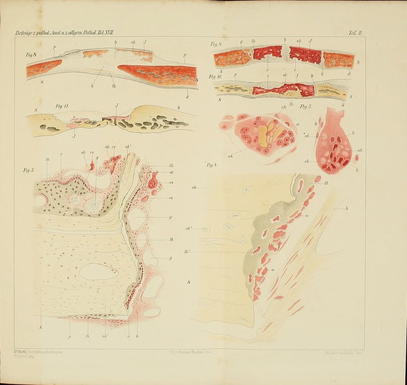 Beilmge!.p(illuiLAiiiit.u.z.nHunn.n(tlial.BclJ:a