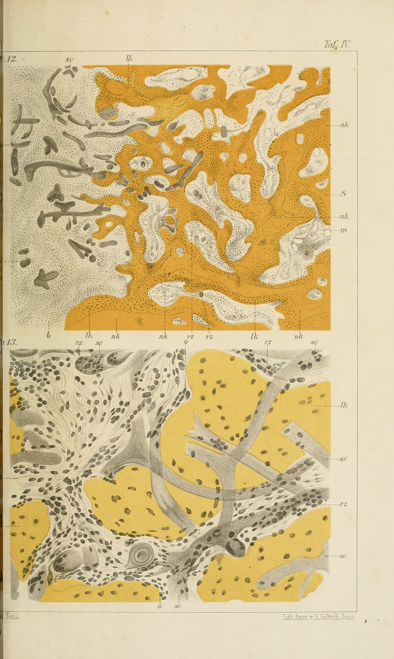TaCK Tf. SC SQ % -ZA > % ft Jerii Lith,Anst.T.A.G(ilteGh,Jer£.