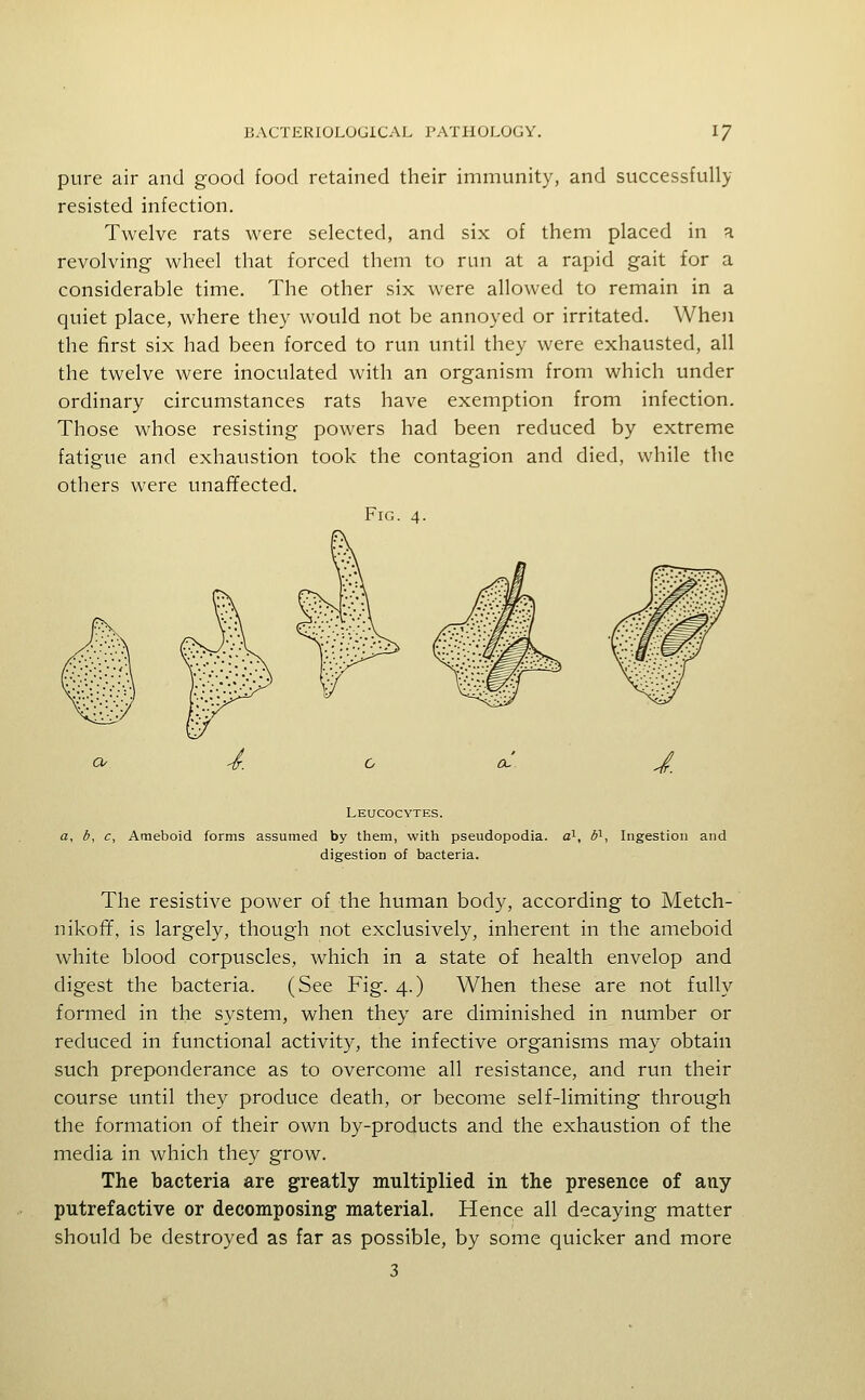 pure air and good food retained their immunity, and successfully resisted infection. Twelve rats were selected, and six of them placed in a revolving wheel that forced them to run at a rapid gait for a considerable time. The other six were allowed to remain in a quiet place, where they would not be annoyed or irritated. When the first six had been forced to run until they were exhausted, all the twelve were inoculated with an organism from which under ordinary circumstances rats have exemption from infection. Those whose resisting powers had been reduced by extreme fatigue and exhaustion took the contagion and died, while the others were unafifected. Fig. 4. J. Leucocytes. b, c. Ameboid forms assumed by them, with pseudopodia. a^, U^, Ingestion and digestion of bacteria. The resistive power of the human body, according to Metch- nikoff, is largely, though not exclusively, inherent in the ameboid white blood corpuscles, which in a state of health envelop and digest the bacteria. (See Fig. 4.) When these are not fully formed in the system, when they are diminished in number or reduced in functional activity, the infective organisms may obtain such preponderance as to overcome all resistance, and run their course until they produce death, or become self-limiting through the formation of their own by-products and the exhaustion of the media in which they grow. The bacteria are greatly multiplied in the presence of any putrefactive or decomposing material. Hence all decaying matter should be destroyed as far as possible, by some quicker and more 3