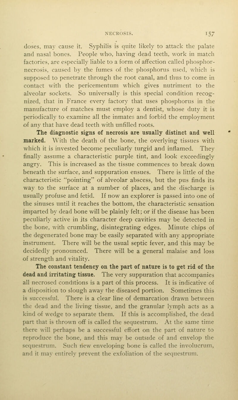 doses, may cause it. Syphilis is quite likely to attack the palate and nasal bones. People who, having dead teeth, work in match factories, are especially liable to a form of affection called phosphor- necrosis, caused by the fumes of the phosphorus used, which is supposed to penetrate through the root canal, and thus to come in contact with the pericementum which gives nutriment to the alveolar sockets. So universally is this special condition recog- nized, that in France every factory that uses phosphorus in the manufacture of matches must employ a dentist, whose duty it is periodically to examine all the inmates and forbid the employment of any that have dead teeth with unfilled roots. The diagnostic signs of necrosis are usually distinct and well marked. With the death of the bone, the overlying tissues with which it is invested become peculiarly turgid and inflamed. They finally assume a characteristic purple tint, and look exceedingly angry. This is increased as the tissue commences to break down beneath the surface, and suppuration ensues. There is little of the characteristic pointing of alveolar abscess, but the pus finds its way to the surface at a number of places, and the discharge is usually profuse and fetid. If now an explorer is passed into one of the sinuses until it reaches the bottom, the characteristic sensation imparted by dead bone will be plainly felt; or if the disease has been peculiarly active in its character deep cavities may be detected in the bone, with crumbling, disintegrating edges. Minute chips of the degenerated bone may be easily separated with any appropriate instrument. There will be the usual septic fever, and this may be decidedly pronounced. There will be a general malaise and loss of strength and vitality. The constant tendency on the part of nature is to get rid of the dead and irritating tissue. The very suppuration that accompanies all necrosed conditions is a part of this process. It is indicative of a disposition to slough away the diseased portion. Sometimes this is successful. There is a clear line of demarcation drawn between the dead and the living tissue, and the granular lymph acts as a kind of wedge to separate them. If this is accomplished, the dead part that is thrown ofif is called the sequestrum. At the same time there will perhaps be a successful effort on the part of nature to reproduce the bone, and this may be outside of and envelop the scf|uestrum. Such new enveloping bone is called the involucrum, anfl it may entirely prevent the exfoliation of the se(|uestrum.