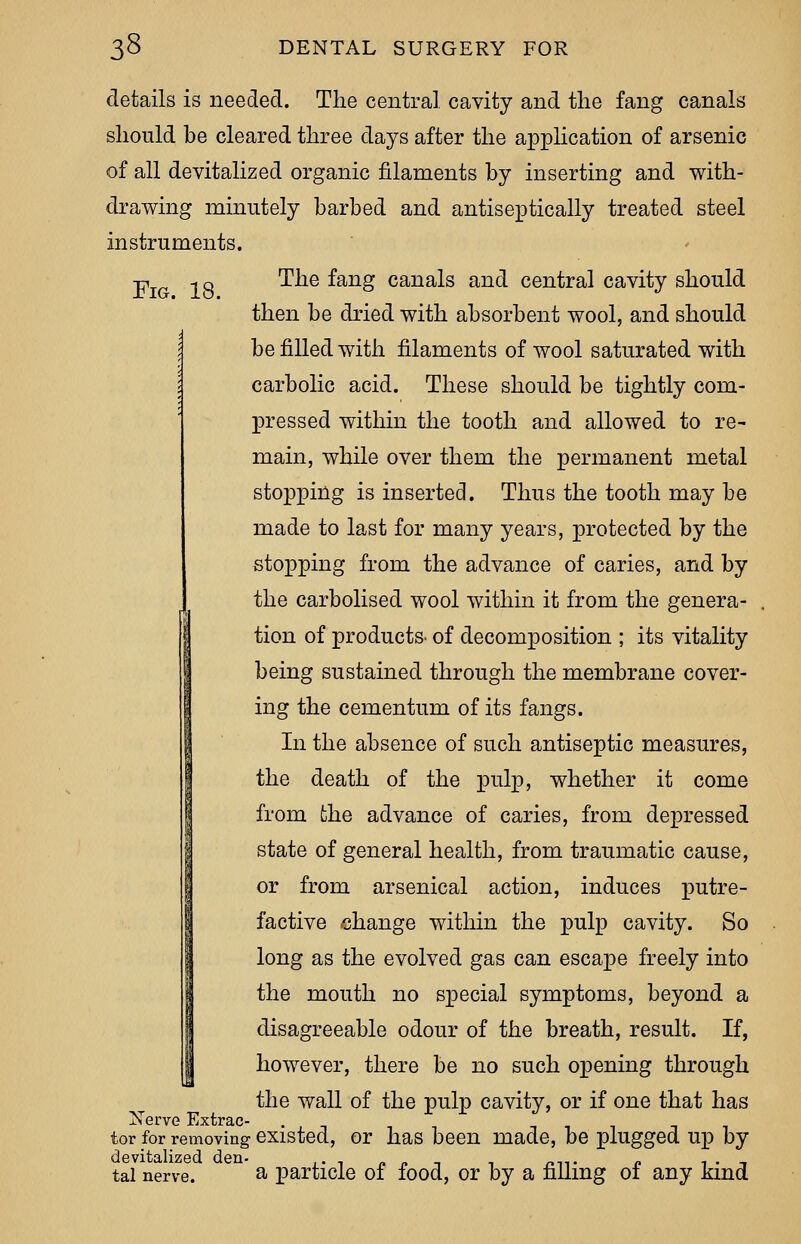 Fig. 18. details is needed. The central cavity and the fang canals should be cleared three days after the application of arsenic of all devitalized organic filaments by inserting and with- drawing minutely barbed and antiseptic ally treated steel instruments. The fang canals and central cavity should then be dried with absorbent wool, and should be filled with filaments of wool saturated with carbolic acid. These should be tightly coin- pressed within the tooth and allowed to re- main, while over them the permanent metal stopping is inserted. Thus the tooth may be made to last for many years, protected by the stopping from the advance of caries, and by the carbolised wool within it from the genera- tion of products' of decomposition ; its vitality being sustained through the membrane cover- ing the cementum of its fangs. In the absence of such antiseptic measures, the death of the pulp, whether it come from the advance of caries, from depressed state of general health, from traumatic cause, or from arsenical action, induces putre- factive change within the pulp cavity. So long as the evolved gas can escape freely into the mouth no special symptoms, beyond a disagreeable odour of the breath, result. If, however, there be no such opening through the wall of the pulp cavity, or if one that has tor for removing existed, or has been made, be plugged up by tal nerve. a particle of food, or by a filling of any kind