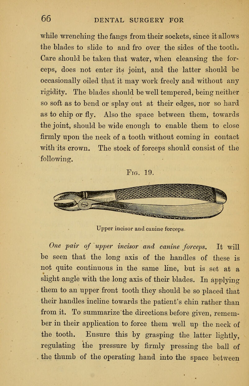 while wrenching the fangs from their sockets, since it allows the blades to slide to and fro over the sides of the tooth. Care should be taken that water, when cleansing the for- ceps, does not enter its joint, and the latter should be occasionally oiled that it may work freely and without any rigidity. The blades should be well tempered, being neither so soft as to bend or splay out at their edges, nor so hard as to chip or fly. Also the space between them, towards the joint, should be wide enough to enable them to close firmly upon the neck of a tooth without coming in contact with its crown. The stock of forceps should consist of the following. Fig. 19. Upper incisor and canine forceps. One pair of 'upper incisor and, canine forceps. It will be seen that the long axis of the handles of these is not quite continuous in the same line, but is set at a slight angle with the long axis of their blades. In applying them to an upper front tooth they should be so placed that their handles incline towards the patient's chin rather than from it. To summarize the directions before given, remem- ber in their application to force them well up the neck of the tooth. Ensure this by grasping the latter lightly, regulating the pressure by firmly pressing the ball of the thumb of the operating hand into the space between