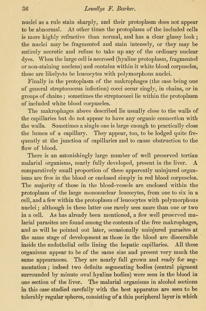 nuclei as a rule stain sharply, and their protoplasm does not appear to be abnormal. At other times the protoplasm of the included cells is more highly refractive than normal, and has a clear glassy look; the nuclei may be fragmented and stain intensely, or they may be entirely necrotic and refuse to take up any of the ordinary nuclear dyes. When the large cell is necrosed (hyaline protoplasm, fragmented or non-staining nucleus) and contains within it white blood corpuscles, these are likely?to be leucocytes with polymorphous nuclei. Finally in the protoplasm of the makrophages (the case being one of general streptococcus infection) cocci occur singly, in chains, or in groups of chains; sometimes the streptococci lie within the protoplasm of included white blood corpuscles. The makrophages above described lie usually close to the walls of the capillaries but do not appear to have any organic connection with the walls. Sometimes a single one is large enough to practically close the lumen of a capillary. They appear, too, to be lodged quite fre- quently at the junction of capillaries and to cause obstruction to the flow of blood. There is an astonishingly large number of well preserved tertian malarial organisms, nearly fully developed, present in the liver. A comparatively small proportion of these apparently uninjured organ- isms are free in the blood or enclosed simply in red blood corpuscles. The majority of those in the blood-vessels are enclosed within the protoplasm of the large mononuclear leucocytes, from one to six in a cell, and a few within the protoplasm of leucocytes with polymorphous nuclei; although in these latter one rarely sees more than one or two in a cell. As has already been mentioned, a few well preserved ma- larial parasites are found among the contents of the free makrophages, and as will be pointed out later, occasionally uninjured parasites at the same stage of development as those in the blood are discernible inside the endothelial cells lining the hepatic capillaries. All these organisms appear to be of the same size and present very much the same appearances. They are nearly full grown and ready for seg- mentation ; indeed two definite segmenting bodies (central pigment surrounded by minute oval hyaline bodies) were seen in the blood in one section of the liver. The malarial organisms in alcohol sections in this case studied carefully with the best apparatus are seen to be tolerably regular spheres, consisting of a thin peripheral layer in which