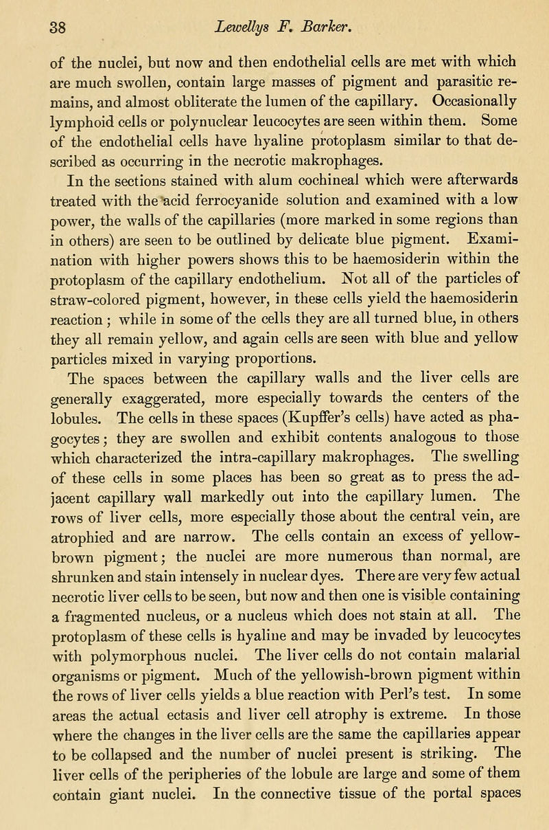 of the nuclei, but now and then endothelial cells are met with which are much swollen, contain large masses of pigment and parasitic re- mains, and almost obliterate the lumen of the capillary. Occasionally lymphoid cells or polynuclear leucocytes are seen within them. Some of the endothelial cells have hyaline protoplasm similar to that de- scribed as occurring in the necrotic makrophages. In the sections stained with alum cochineal which were afterwards treated with the'acid ferrocyanide solution and examined with a low power, the walls of the capillaries (more marked in some regions than in others) are seen to be outlined by delicate blue pigment. Exami- nation with higher powers shows this to be haemosiderin within the protoplasm of the capillary endothelium. Not all of the particles of straw-colored pigment, however, in these cells yield the haemosiderin reaction ; while in some of the cells they are all turned blue, in others they all remain yellow, and again cells are seen with blue and yellow particles mixed in varying proportions. The spaces between the capillary walls and the liver cells are generally exaggerated, more especially towards the centers of the lobules. The cells in these spaces (Kupffer's cells) have acted as pha- gocytes ; they are swollen and exhibit contents analogous to those which characterized the intra-capillary makrophages. The swelling of these cells in some places has been so great as to press the ad- jacent capillary wall markedly out into the capillary lumen. The rows of liver cells, more especially those about the central vein, are atrophied and are narrow. The cells contain an excess of yellow- brown pigment; the nuclei are more numerous than normal, are shrunken and stain intensely in nuclear dyes. There are very few actual necrotic liver cells to be seen, but now and then one is visible containing a fragmented nucleus, or a nucleus which does not stain at all. The protoplasm of these cells is hyaline and may be invaded by leucocytes with polymorphous nuclei. The liver cells do not contain malarial organisms or pigment. Much of the yellowish-brown pigment within the rows of liver cells yields a blue reaction with Perl's test. In some areas the actual ectasis and liver cell atrophy is extreme. In those where the changes in the liver cells are the same the capillaries appear to be collapsed and the number of nuclei present is striking. The liver cells of the peripheries of the lobule are large and some of them contain giant nuclei. In the connective tissue of the portal spaces