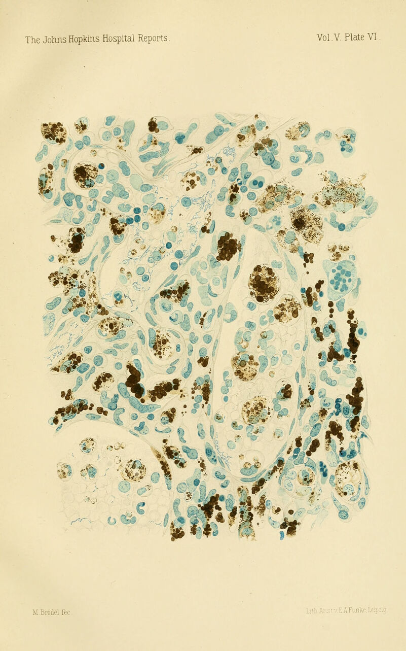 # Ti! 5^ %»ff -i../^^ / ■•^^^ -• im^^^i'-'^^W ^-/^'^^^^ '•:m^mm^^:: ^' ^c** :%^ :t^^ #f;.Jrt v=^* .;^a 8 .AFunki;,