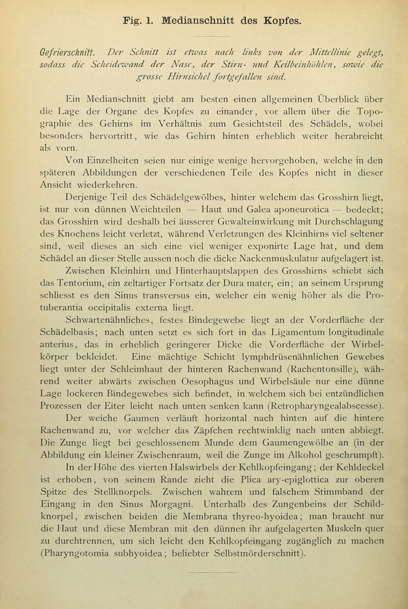 Gefnerschnitt. Der Schnitt ist etwas nach links von der Mittellinie gelegt, sodass die Scheidewand der Nase, der Stirn- und Keilbeinhöhlen, sowie die grosse Hirnsichel fortgefallen sind. Ein Medianschnitt giebt am besten einen allgemeinen Überblick über die Lage der Organe des Kopfes zu einander, vor allem über die Topo- graphie des Gehirns im Verhältnis zum Gesichtsteil des Schädels, wobei besonders hervortritt, wie das Gehirn hinten erheblich weiter herabreicht als vorn. Von Einzelheiten seien nur einige wenige hervorgehoben, welche in den späteren Abbildungen der verschiedenen Teile des Kopfes nicht in dieser Ansicht wiederkehren. Derjenige Teil des Schädelgewölbes, hinter welchem das Grosshirn liegt, ist nur von dünnen Weichteilen — Haut und Galea aponeurotica — bedeckt; das Grosshirn wird deshalb bei äusserer Gewalteinwirkung mit Durchschlagung des Knochens leicht verletzt, während Verletzungen des Kleinhirns viel seltener sind, weil dieses an sich eine viel weniger exponirte Lage hat, und dem Schädel an dieser Stelle aussen noch die dicke Nackenmuskulatur aufgelagert ist. Zwischen Kleinhirn und Hinterhauptslappen des Grosshirns schiebt sich das Tentorium, ein zeltartiger Fortsatz der Dura mater, ein; an seinem Ursprung schliesst es den Sinus transversus ein, welcher ein wenig höher als die Pro- tuberantia occipitalis externa liegt. Schwartenähnliches, festes Bindegewebe Hegt an der Vorderfläche der Schädelbasis; nach unten setzt es sich fort in das Ligamentum longitudinale anterius, das in erheblich geringerer Dicke die Vorderfläche der Wirbel- körper bekleidet. Eine mächtige Schicht lymphdrüsenähnlichen Gewebes liegt unter der Schleimhaut der hinteren Rachenwand (Rachentonsille), wäh- rend weiter abwärts zwischen Oesophagus und Wirbelsäule nur eine dünne Lage lockeren Bindegewebes sich befindet, in welchem sich bei entzündlichen Prozessen der Eiter leicht nach unten senken kann (Retropharyngealabscesse). Der weiche Gaumen verläuft horizontal nach hinten auf die hintere Rachenwand zu, vor welcher das Zäpfchen rechtwinklig nach unten abbiegt. Die Zunge hegt bei geschlossenem Munde dem Gaumengewölbe an (in der Abbildung ein kleiner Zwischenraum, weil die Zunge im Alkohol geschrumpft). In der Höhe des vierten Halswirbels der Kehlkopfeingang; der Kehldeckel ist erhoben, von seinem Rande zieht die Plica ary-epiglottica zur oberen Spitze des Stellknorpels. Zwischen wahr.em und falschem Stimmband der Eingang in den Sinus Morgagni. Unterhalb des Zungenbeins der Schild- knorpel , zwischen beiden die Membrana thyreo-hyoidea; man braucht nur die Haut und diese Membran mit den dünnen ihr aufgelagerten Muskeln quer zu durchtrennen, um sich leicht den Kehlkopfeingang zugänglich zu machen (Pharyngotomia subhyoidea; beliebter Selbstmörderschnitt).