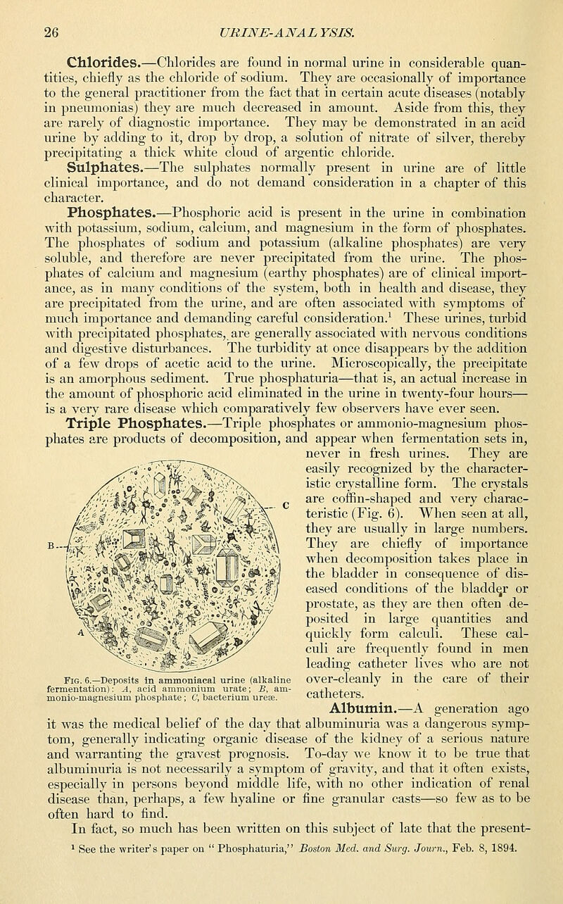 Chlorides.—Chlorides are found in normal urine in considerable quan- tities, chiefly as the chloride of sodium. They are occasionally of importance to the general practitioner from the fact that in certain acute diseases (notably in pneumonias) they are much decreased in amount. Aside from this, they are rarely of diagnostic importance. They may be demonstrated in an acid urine by adding to it, drop by drop, a solution of nitrate of silver, thereby precipitating a thick white cloud of argentic chloride. Sulphates.—The sulphates normally present in urine are of little clinical importance, and do not demand consideration in a chapter of this character. Phosphates.—Phosphoric acid is present in the urine in combination with potassium, sodium, calcium, and magnesium in the form of phosphates. The phosphates of sodium and potassium (alkaline phosphates) are very soluble, and therefore are never precipitated from the urine. The phos- phates of calcium and magnesium (earthy phosphates) are of clinical import- ance, as in many conditions of the system, both in health and disease, they are precipitated from the urine, and are often associated with symptoms of much importance and demanding careful consideration.1 These urines, turbid with precipitated phosphates, are generally associated with nervous conditions and digestive disturbances. The turbidity at once disappears by the addition of a few drops of acetic acid to the urine. Microscopically, the precipitate is an amorphous sediment. True phosphaturia—that is, an actual increase in the amount of phosphoric acid eliminated in the urine in twenty-four hours— is a very rare disease which comparatively few observers have ever seen. Triple Phosphates.—Triple phosphates or ammonio-magnesium phos- phates are products of decomposition, and appear when fermentation sets in, never in fresh urines. They are easily recognized by the character- istic crystalline form. The crystals are coffin-shaped and very charac- teristic (Fig. 6). When seen at all, they are usually in large numbers. They are chiefly of importance when decomposition takes place in the bladder in consequence of dis- eased conditions of the bladder or prostate, as they are then often de- posited in large quantities and quickly form calculi. These cal- culi are frequently found in men leading catheter lives who are not over-cleanly in the care of their catheters. Albumin.—A generation ago it was the medical belief of the day that albuminuria was a dangerous symp- tom, generally indicating organic disease of the kidney of a serious nature and warranting the gravest prognosis. To-day we know it to be true that albuminuria is not necessarily a symptom of gravity, and that it often exists, especially in persons beyond middle life, with no other indication of renal disease than, perhaps, a few hyaline or fine granular casts—so few as to be often hard to find. In fact, so much has been written on this subject of late that the present- 1 See the writer's paper on  Phosphaturia, Boston Med. and Surg. Journ., Feb. S, 1894. Fig. 6.—Deposits in ammoniacal urine (alkaline fermentation): A, acid ammonium urate; B, am- monio-magnesium phosphate ; C, bacterium urese.