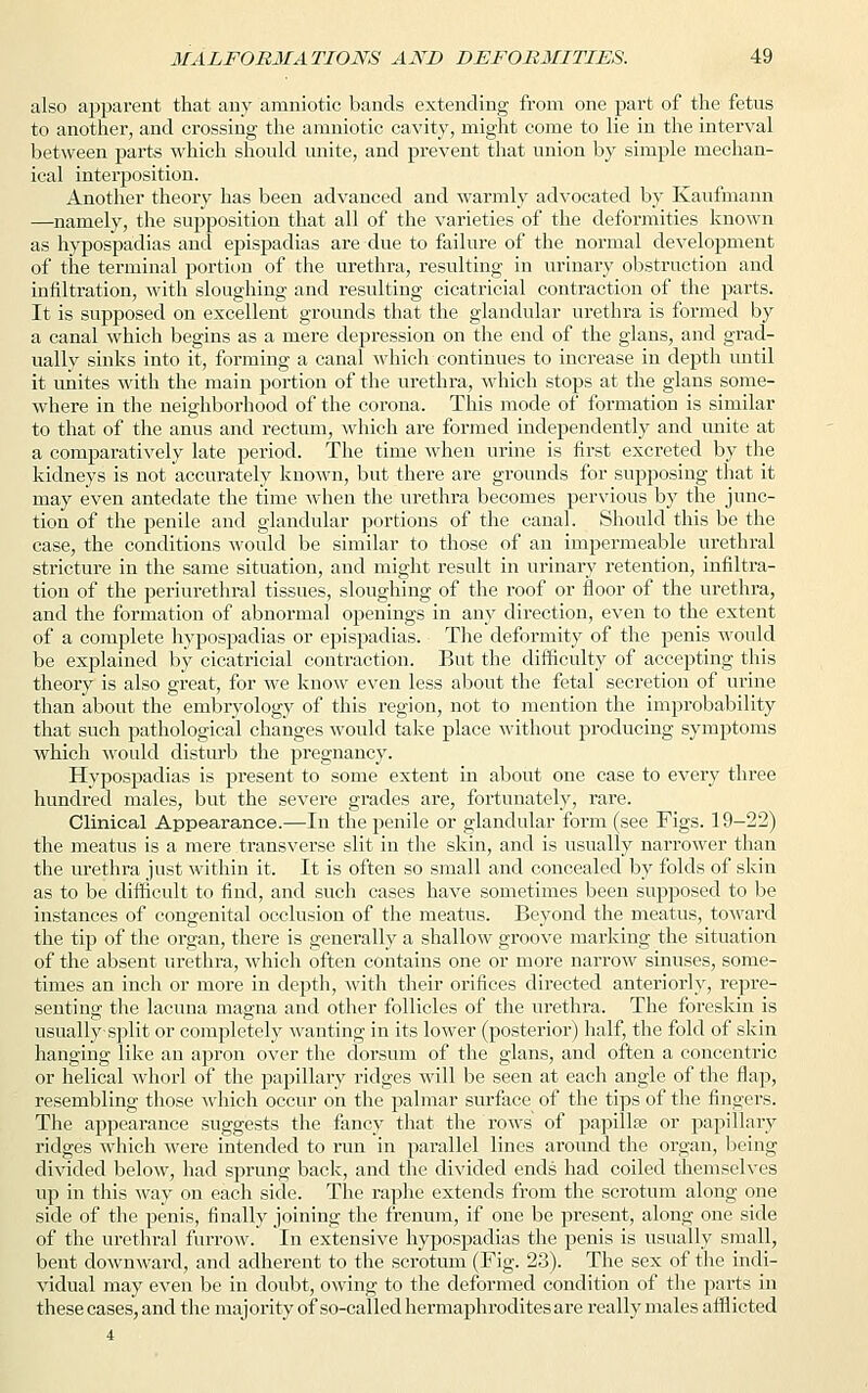 also apparent that any amniotic bands extending from one part of the fetus to another, and crossing the amniotic cavity, might come to lie in the interval between parte which should unite, and prevent that union by simple mechan- ical interposition. Another theory has been advanced and warmly advocated by Kaufmann —namely, the supposition that all of the varieties of the deformities known as hypospadias and epispadias are due to failure of the normal development of the terminal portion of the urethra, resulting in urinary obstruction and infiltration, with sloughing and resulting cicatricial contraction of the parts. It is supposed on excellent grounds that the glandular urethra is formed by a canal which begins as a mere depression on the end of the glans, and grad- ually sinks into it, forming a canal which continues to increase in depth until it unites with the main portion of the urethra, which stops at the glans some- where in the neighborhood of the corona. This mode of formation is similar to that of the anus and rectum, which are formed independently and unite at a comparatively late period. The time when urine is first excreted by the kidneys is not accurately known, but there are grounds for supposing that it may even antedate the time when the urethra becomes pervious by the junc- tion of the penile and glandular portions of the canal. Should this be the case, the conditions would be similar to those of an impermeable urethral stricture in the same situation, and might result in urinary retention, infiltra- tion of the periurethral tissues, sloughing of the roof or floor of the urethra, and the formation of abnormal openings in any direction, even to the extent of a complete hypospadias or epispadias. The deformity of the penis would be explained by cicatricial contraction. But the difficulty of accepting this theory is also great, for we know even less about the fetal secretion of urine than about the embryology of this region, not to mention the improbability that such pathological changes would take place without producing symptoms which would disturb the pregnancy. Hypospadias is present to some extent in about one case to every three hundred males, but the severe grades are, fortunately, rare. Clinical Appearance.—In the penile or glandular form (see Figs. 19-22) the meatus is a mere transverse slit in the skin, and is usually narrower than the urethra just within it. It is often so small and concealed by folds of skin as to be difficult to find, and such cases have sometimes been supposed to be instances of congenital occlusion of the meatus. Beyond the meatus, toward the tip of the organ, there is generally a shallow groove marking the situation of the absent urethra, which often contains one or more narrow sinuses, some- times an inch or more in depth, with their orifices directed anteriorly, repre- senting the lacuna magna and other follicles of the urethra. The foreskin is usually split or completely wanting in its lower (posterior) half, the fold of skin hanging like an apron over the dorsum of the glans, and often a concentric or helical whorl of the papillary ridges will be seen at each angle of the flap, resembling those which occur on the palmar surface of the tips of the fingers. The appearance suggests the fancy that the rows of papilla; or papillary ridges which were intended to run in parallel lines around the organ, being divided below, had sprung back, and the divided ends had coiled themselves up in this way on each side. The raphe extends from the scrotum along one side of the penis, finally joining the frenum, if one be present, along one side of the urethral furrow. In extensive hypospadias the penis is usually small, bent downward, and adherent to the scrotum (Fig. 23). The sex of the indi- vidual may even be in doubt, owing to the deformed condition of the parts in these cases, and the majority of so-called hermaphrodites are really males afflicted
