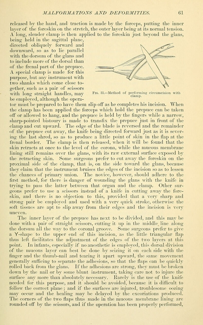 released by the hand, and traction is made by the forceps, putting the inner layer of the foreskin on the stretch, the outer layer being at its normal tension. A long, slender clamp is then applied to the foreskin just beyond the glans, being held in the sagittal plane, directed obliquely forward and downward, so as to lie parallel with the dorsum of the glans and to include more of the dorsal than of the frenal part of the prepuce. A special clamp is made for this purpose, but any instrument with two shanks which come close to- gether, such as a pair of scissors with Ions straight handles, may FlG- 33.-Method of performing circumcision with lini 11 clamp. be employed, although the opera- tor must be prepared to have them slip off as he completes his incision. When the clamp has been applied the forcejss which hold the prepuce can be taken off or allowed to hang, and the prepuce is held by the fingers while a narrow, sharp-pointed bistoury is made to transfix the prepuce just in front of the clamp and cut upward. The edge of the blade is reversed and the remainder of the prepuce cut away, the knife being directed forward just as it is sever- ing the last shred, so as to produce a little point of skin in the flap at the frenal border. The clamp is then released, when it will be found that the skin retracts at once to the level of the corona, while the mucous membrane lining still remains over the glans, with its raw external surface exposed by the retracting skin. Some surgeons prefer to cut away the foreskin on the proximal side of the clamp, that is, on the side toward the glans, because they claim that the instrument bruises the edges of the incision so as to lessen the chances of primary union. The novice, however, should adhere to the first method, for there is danger of wounding the glans with the knife in trying to pass the latter between that organ and the clamp. Other sur- geons prefer to use a scissors instead of a knife in cutting away the fore- skin, and there is no objection to this, provided that a very sharp and strong pair be employed and used with a very quick stroke, otherwise the soft tissues are apt to slip away from their edges and the incision is very uneven. The inner layer of the prepuce has next to be divided, and this may be done with a pair of straight scissors, cutting it up in the middle, line along the dorsum all the way to the coronal groove. Some surgeons prefer to give a Y-shape to the upper end of this incision, as the little triangular flap thus left facilitates the adjustment of the edges of the two layers at this point. In infants, especially if no anesthetic is employed, this dorsal division of the mucous layer can best be done by seizing it on each side with the finger and the thumb-nail and tearing it apart upward, the same movement generally sufficing to separate the adhesions, so that the flaps can be quickly rolled back from the glans. If the adhesions are strong, they must be broken down by the nail or by some blunt instrument, taking care not to injure the surface any more than absolutely necessary. Rarely is the use of the knife needed for this purpose, and it should be avoided, because it is difficult to follow the correct plane ; and if the surfaces are injured, troublesome oozing may occur and the healing may be delayed by the excoriations produced. The corners of the two flaps thus made in the mucous membrane lining are rounded off by the scissors, and if the operation has been properly performed,