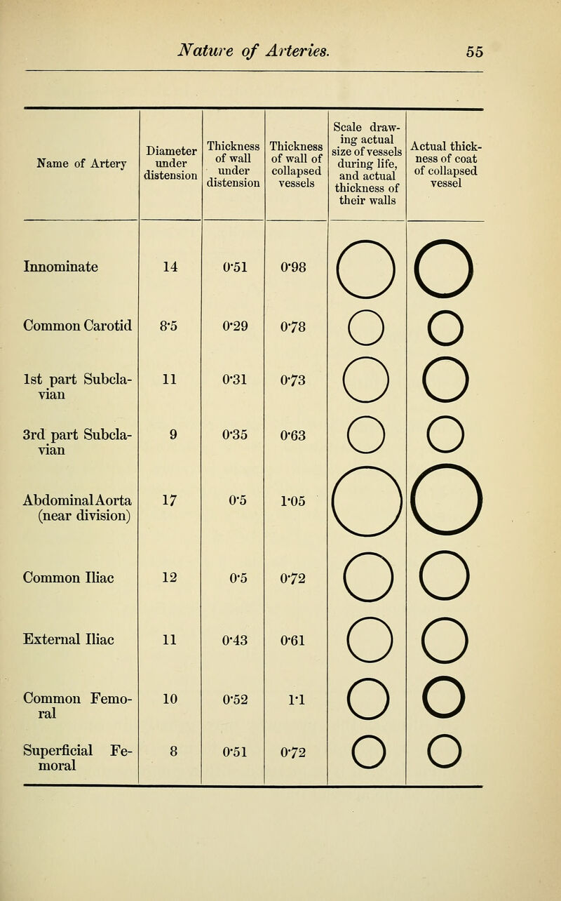 Scale draw- Name of Artery Diameter under distension Thickness of wall under distension Thickness of wall of collapsed vessels ing actual size of vessels during life, and actual thickness of their walls Actual thick- ness of coat of collapsed vessel Innominate 14 0-51 0-98 o o Common Carotid 8-5 0-29 078 o o Ist part Subcla- vian 11 0-31 0-73 o o 3rd part Subcla- vian 9 0-35 0-63 o o AbdominalAorta (near division) 17 0-5 1-05 O o Common Iliac 12 0-5 0-72 o O External Iliac 11 0-43 0-61 o o Common Femo- ral 10 0-52 ri O o moral