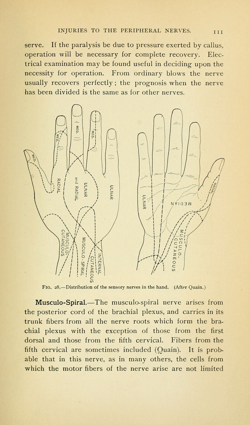 serve. If the paralysis be due to pressure exerted by callus, operation will be necessary for complete recovery. Elec- trical examination may be found useful in deciding upon the necessity for operation. From ordinary blows the nerve usually recovers perfectly; the prognosis when the nerve has been divided is the same as for other nerves. Fig. 28.—Distribution of the sensory nerves in the hand. (After Quain.) Musculo-Spiral.—The musculo-spiral nerve arises from the posterior cord of the brachial plexus, and carries in its trunk fibers from all the nerve roots which form the bra- chial plexus wath the exception of those from the first dorsal and those from the fifth cervical. Fibers from the fifth cervical are sometimes included (Quain). It is prob- able that in this nerve, as in many others, the cells from which the motor fibers of the nerve arise are not limited