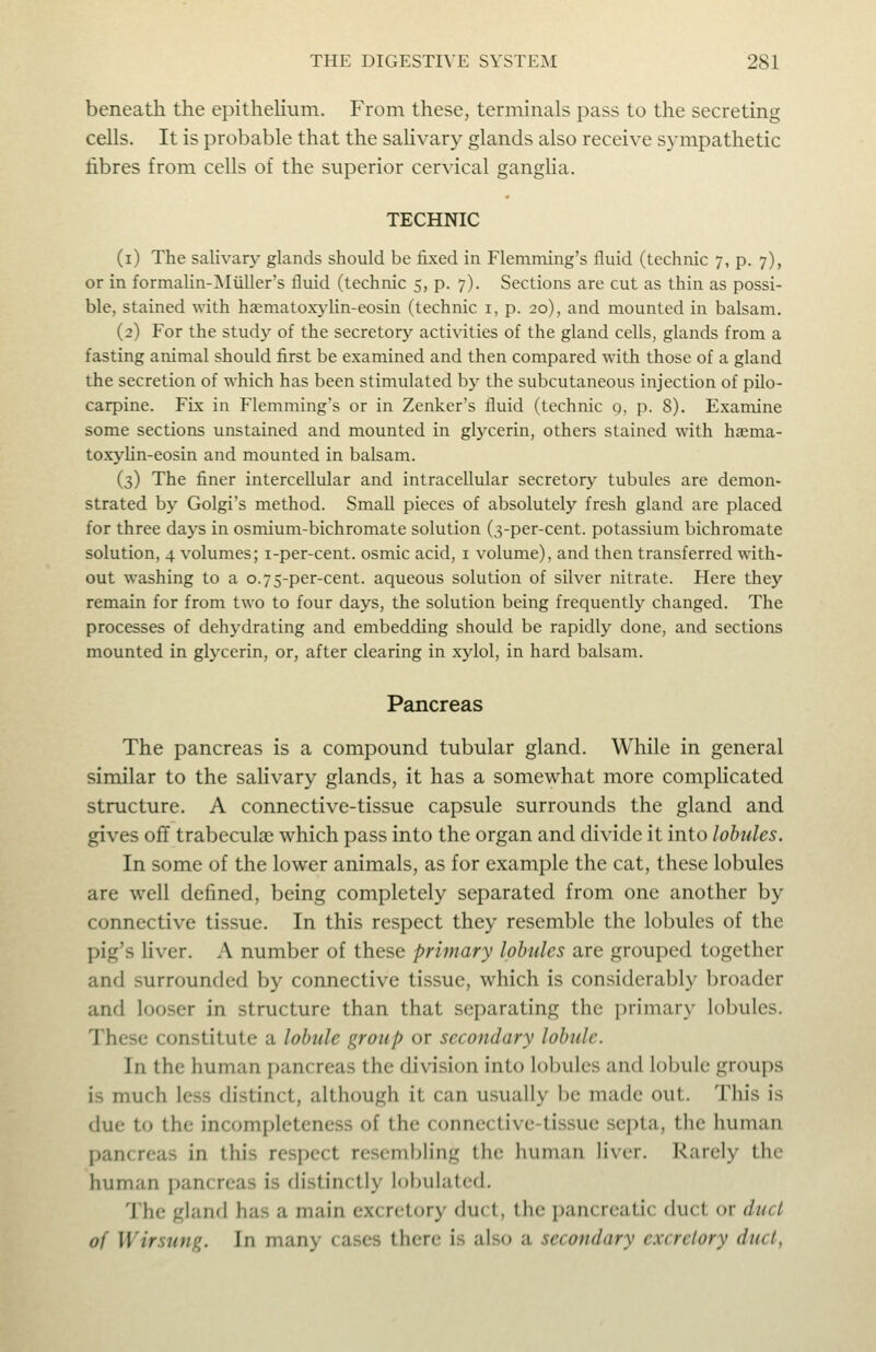 beneath the epitheHum. From these, terminals pass to the secreting cells. It is probable that the saHvary glands also receive sympathetic fibres from cells of the superior cervical ganglia. TECHNIC (i) The salivar)^ glands should be fixed in Flemming's fluid (technic 7, p. 7), or in formalin-JNIiiller's fluid (technic 5, p. 7). Sections are cut as thin as possi- ble, stained with haematoxylin-eosin (technic i, p. 20), and mounted in balsam. (2) For the study of the secretory activities of the gland cells, glands from a fasting animal should first be examined and then compared with those of a gland the secretion of which has been stimulated by the subcutaneous injection of pilo- carpine. Fix in Flemming's or in Zenker's fluid (technic 9, p. 8). Examine some sections unstained and mounted in glycerin, others stained with hasma- toxylin-eosin and mounted in balsam. (3) The finer intercellular and intracellular secretory tubules are demon- strated by Golgi's method. Small pieces of absolutely fresh gland are placed for three days in osmium-bichromate solution (3-per-cent. potassium bichromate solution, 4 volumes; i-per-cent. osmic acid, i volume), and then transferred with- out washing to a o.7S-per-cent. aqueous solution of silver nitrate. Here they remain for from two to four days, the solution being frequently changed. The processes of dehydrating and embedding should be rapidly done, and sections mounted in glycerin, or, after clearing in xylol, in hard balsam. Pancreas The pancreas is a compound tubular gland. While in general similar to the salivary glands, it has a somewhat more complicated structure. A connective-tissue capsule surrounds the gland and gives off trabeculae which pass into the organ and divide it into lobules. In some of the lower animals, as for example the cat, these lobules are well defined, being completely separated from one another by connective tissue. In this respect they resemble the lobules of the pig's liver. A number of these primary lobules are grouped together and surrounded by connective tissue, which is considerably broader and looser in structure than that separating the primary lobules. These constitute a lobule group or secondary lobule. In the human j)ancreas the division into lobules and lobule groups is much less distinct, although it can usually be made out. This is due to the incompleteness of the connective-tissue septa, the human pancreas in this respect resembling the liuman liver. Rarely the human pancreas is distinctly l()])ulated. The gland has a main excretory duct, the pancreatic duct or dud of Wirsung. In many cases there is also a secondary excretory dud,