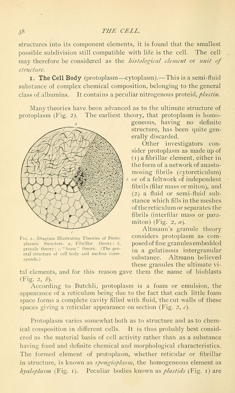 structures into its component elements, it is found that the smallest possible subdivision still compatible with life is the cell. The cell may therefore be considered as the histological clement or unit of structure. i. The Cell Body (protoplasm—cytoplasm).—This is a semi-fluid substance of complex chemical composition, belonging to the general class of albumins. It contains a peculiar nitrogenous ^roteid, pi as tin. Many theories have been advanced as to the ultimate structure of protoplasm (Fig. 2). The earliest theory, that protoplasm is homo- a geneous, having no definite structure, has been quite gen- erally discarded. Other investigators con- sider protoplasm as made up of (1) a fibrillar element, either in the form of a network of anasto- mosing fibrils (cytoreticulum) /' or of a feltwork of independent fibrils (filar mass or miton), and (2) a fluid or semi-fluid sub- stance which fills in the meshes of the reticulum or separates the fibrils (interfilar mass or para- myon) (Fig. 2, a). Altmann's granule theory considers protoplasm as com- posed of fine granules embedded in a gelatinous intergranular substance. Altmann believed these granules the ultimate vi- tal elements, and for this reason gave them the name of bioblasts (Fig. 2, b). According to Butchli, protoplasm is a foam or emulsion, the appearance of a reticulum being due to the fact that each little foam space forms a complete cavity filled with fluid, the cut walls of these spaces giving a reticular appearance on section (Fig. 2, c). Protoplasm varies somewhat both as to structure and as to chem- ical composition in different cells. It is thus probably best consid- ered as the material basis of cell activity rather than as a substance having fixed and definite chemical and morphological characteristics. The formed element of protoplasm, whether reticular or fibrillar in structure, is known as spongioplasm, the homogeneous element as hyaloplasm (Fig. 1). Peculiar bodies known as plastids (Fig. 1) are Fig. 2.—Diagram Illustrating- Theories of Proto- plasmic Structure, a, Fibrillar theory; b, granule theory ; c;  foam  theory. (The gen- eral structure of cell body and nucleus corre- sponds.)