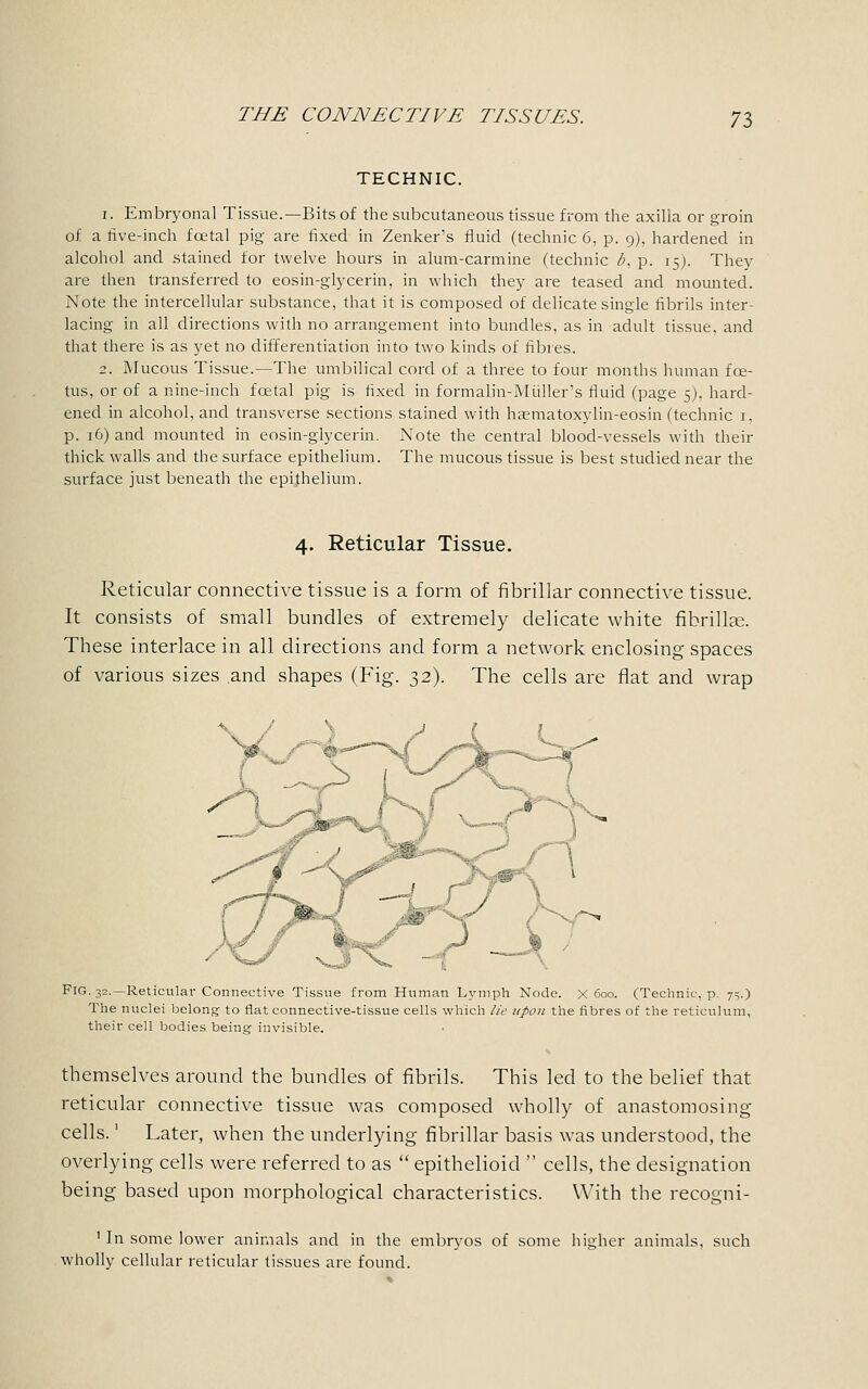 TECHNIC. r. Embryonal Tissue.—Bits of the subcutaneous tissue from the axilla or groin of a five-inch foetal pig are fixed in Zenker's fluid (technic 6, p. 9), hardened in alcohol and stained for twelve hours in alum-carmine (technic Z>, p. 15;. They are then transferred to eosin-glycerin, in which they are teased and mounted. Note the intercellular substance, that it is composed of delicate single fibrils inter- lacing in all directions with no arrangement into bundles, as in adult tissue, and that there is as yet no differentiation into two kinds of fibres. 2. Mucous Tissue.—The umbilical cord of a three to four months human foe- tus, or of a nine-inch foetal pig is fixed in formalin-Midler's fluid (page 5). hard- ened in alcohol, and transverse sections stained with haematoxylin-eosin (technic 1, p. 16) and mounted in eosin-glycerin. Note the central blood-vessels with their thick walls and the surface epithelium. The mucous tissue is best studied near the surface just beneath the epithelium. 4. Reticular Tissue. Reticular connective tissue is a form of fibrillar connective tissue. It consists of small bundles of extremely delicate white fibrillae. These interlace in all directions and form a network enclosing spaces of various sizes and shapes (Fig. 32). The cells are flat and wrap FIG. 32.—Reticular Connective Tissue from Human Lymph Node. X 600. (Technic, p. 7^.) The nuclei belong to flat connective-tissue cells which lie upon the fibres of the reticulum, their cell bodies being- invisible. themselves around the bundles of fibrils. This led to the belief that reticular connective tissue was composed wholly of anastomosing cells.' Later, when the underlying fibrillar basis was understood, the overlying cells were referred to as  epithelioid  cells, the designation being based upon morphological characteristics. With the recogni- 1 In some lower animals and in the embryos of some higher animals, such wholly cellular reticular tissues are found.