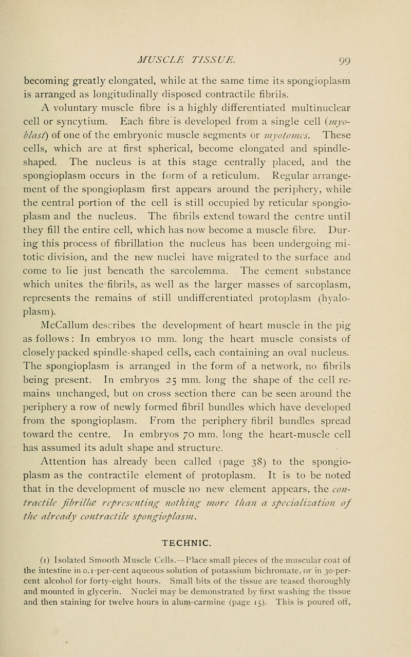 becoming greatly elongated, while at the same time its spongioplasm is arranged as longitudinally disposed contractile fibrils. A voluntary muscle fibre is a highly differentiated multinuclear cell or syncytium. Each fibre is developed from a single cell {myo- blast) of one of the embryonic muscle segments or myotonics. These cells, which are at first spherical, become elongated and spindle- shaped. The nucleus is at this stage centrally placed, and the spongioplasm occurs in the form of a reticulum. Regular arrange- ment of the spongioplasm first appears around the periphery, while the central portion of the cell is still occupied by reticular spongio- plasm and the nucleus. The fibrils extend toward the centre until they fill the entire cell, which has now become a muscle fibre. Dur- ing this process of fibrillation the nucleus has been undergoing mi- totic division, and the new nuclei have migrated to the surface and come to lie just beneath the sarcolemma. The cement substance which unites the fibrils, as well as the larger masses of sarcoplasm, represents the remains of still undifferentiated protoplasm (hyalo- plasm). McCallum describes the development of heart muscle in the pig as follows : In embryos 10 mm. long the heart muscle consists of closely packed spindle-shaped cells, each containing an oval nucleus. The spongioplasm is arranged in the form of a network, no fibrils being present. In embryos 25 mm. long the shape of the cell re- mains unchanged, but on cross section there can be seen around the periphery a row of newly formed fibril bundles which have developed from the spongioplasm. From the periphery fibril bundles spread toward the centre. In embryos 70 mm. long the heart-muscle cell has assumed its adult shape and structure. Attention has already been called (page 38) to the spongio- plasm as the contractile element of protoplasm. It is to be noted that in the development of muscle no new element appears, the con- tractile fibrillar representing nothing more than a specialisation of the already contractile spongioplasm. TECHNIC. (1) Isolated Smooth Muscle Cells.—Place small pieces of the muscular coat of the intestine in 0.1-per-cent aqueous solution of potassium bichromate, or in 30-per- cent alcohol for forty-eight hours. Small bits of the tissue are teased thoroughly and mounted in glycerin. Nuclei may be demonstrated by first washing the tissue and then staining for twelve hours in alum-carmine (page 15). This is poured off,