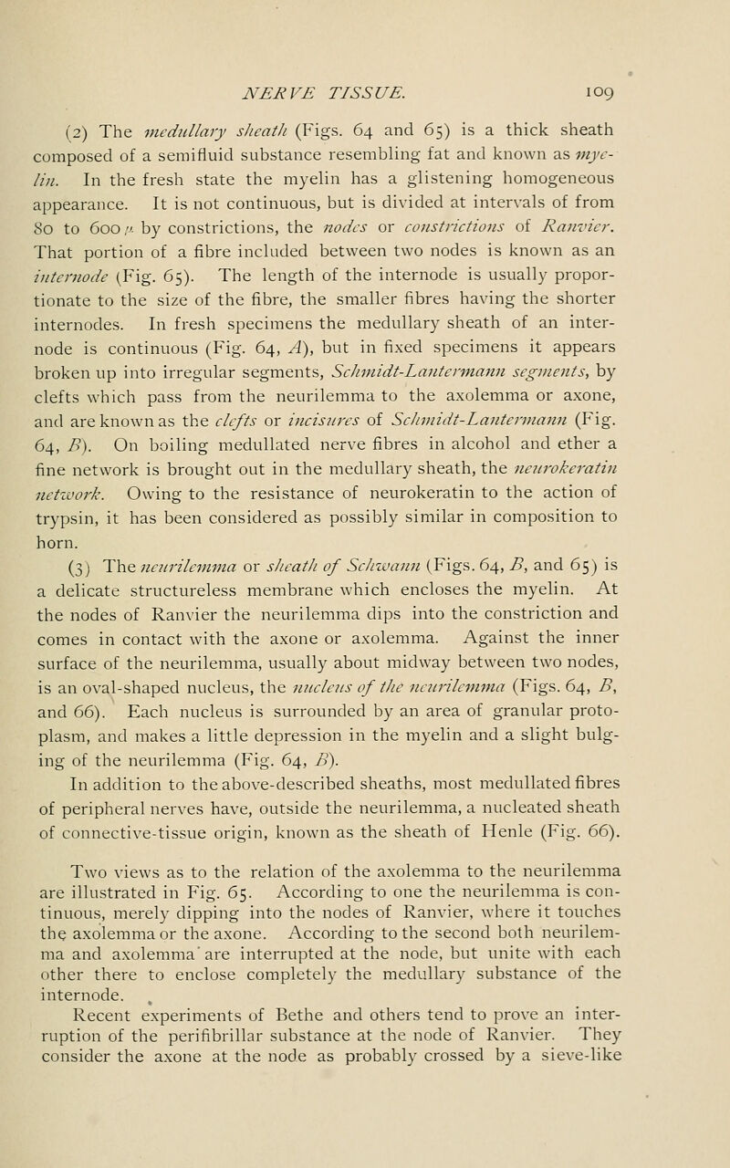 (2) The medullary sheath (Figs. 64 and 65) is a thick sheath composed of a semifluid substance resembling fat and known as mye- lin. In the fresh state the myelin has a glistening homogeneous appearance. It is not continuous, but is divided at intervals of from 80 to 600 '.i- by constrictions, the nodes or constrictions of Ranvier. That portion of a fibre included between two nodes is known as an intemode (Fig. 65). The length of the internode is usually propor- tionate to the size of the fibre, the smaller fibres having the shorter internodes. In fresh specimens the medullary sheath of an inter- node is continuous (Fig. 64, A), but in fixed specimens it appears broken up into irregular segments, Schmidt-Lantermann segments, by clefts which pass from the neurilemma to the axolemma or axone, and are known as the clefts or incisures of Schmidt-Lantermann (Fig. 64, B). On boiling medullated nerve fibres in alcohol and ether a fine network is brought out in the medullary sheath, the neurokeratin network. Owing to the resistance of neurokeratin to the action of trypsin, it has been considered as possibly similar in composition to horn. (3) The neurilemma or sheath of Schwann (Figs. 64, B, and 65) is a delicate structureless membrane which encloses the myelin. At the nodes of Ranvier the neurilemma dips into the constriction and comes in contact with the axone or axolemma. Against the inner surface of the neurilemma, usually about midway between two nodes, is an oval-shaped nucleus, the nucleus of the neurilemma (Figs. 64, B, and 66). Each nucleus is surrounded by an area of granular proto- plasm, and makes a little depression in the myelin and a slight bulg- ing of the neurilemma (Fig. 64, B). In addition to the above-described sheaths, most medullated fibres of peripheral nerves have, outside the neurilemma, a nucleated sheath of connective-tissue origin, known as the sheath of Henle (Fig. 66). Two views as to the relation of the axolemma to the neurilemma are illustrated in Fig. 65. According to one the neurilemma is con- tinuous, merely dipping into the nodes of Ranvier, where it touches the axolemma or the axone. According to the second both neurilem- ma and axolemma'are interrupted at the node, but unite with each other there to enclose completely the medullary substance of the internode. % Recent experiments of Bethe and others tend to prove an inter- ruption of the perifibrillar substance at the node of Ranvier. They consider the axone at the node as probably crossed by a sieve-like