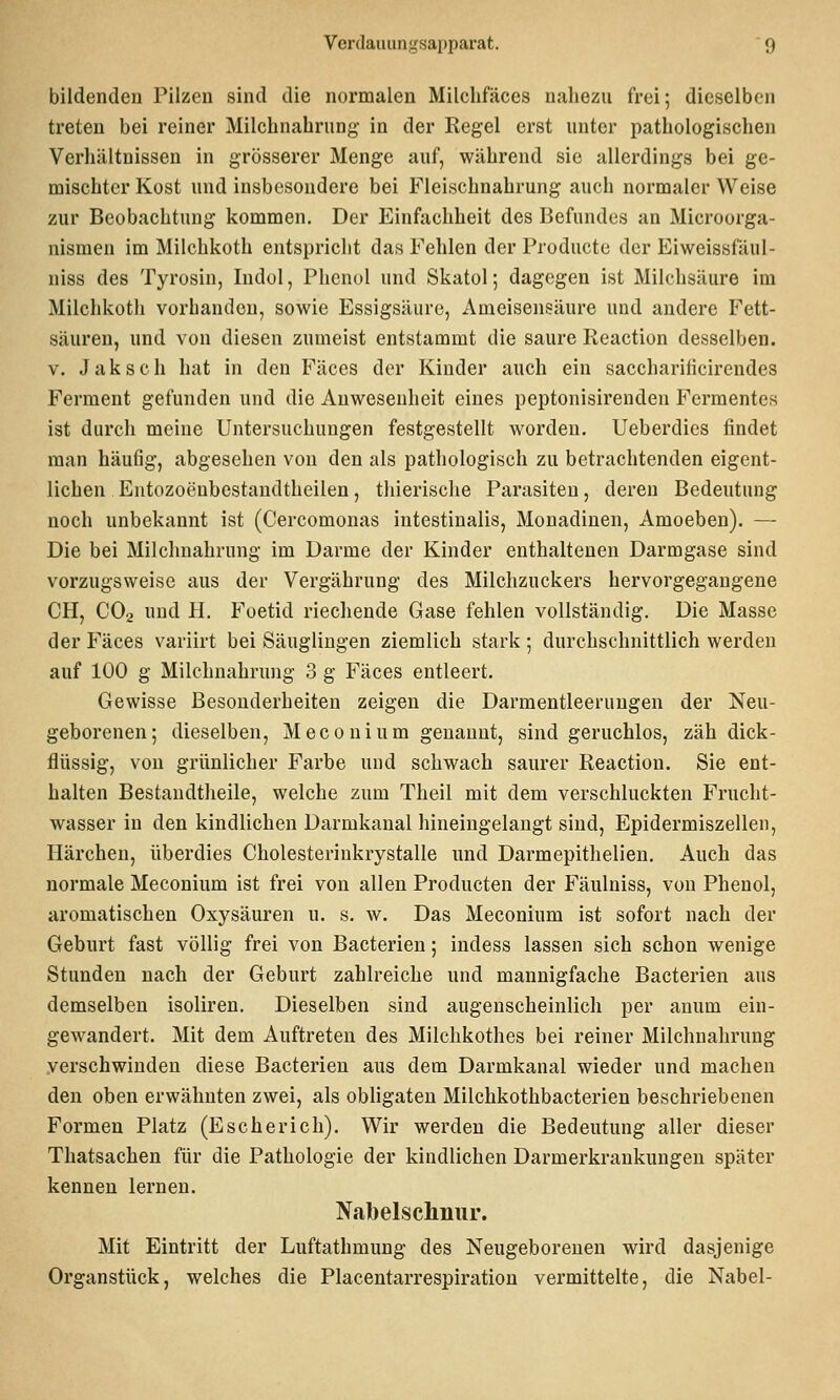 bildenden Pilzen sind die normalen Milclifäces nahezu frei; dieselben treten bei reiner Milchnahrung in der Regel erst unter pathologischen Verhältnissen in grösserer Menge auf, während sie allerdings bei ge- mischter Kost und insbesondere bei Fleischnahrung auch normaler Weise zur Beobachtung kommen. Der Einfachheit des Befundes an Microorga- nismen im Milchkoth entspricht das Fehlen der Producte der Eiweissfäul- niss des Tyrosin, Indol, Phenol und Skatol; dagegen ist Milchsäure im Milchkoth vorhanden, sowie Essigsäure, Ameisensäure und andere Fett- säuren, und von diesen zumeist entstammt die saure Reaction desselben. V. Jak seh hat in den Fäces der Kinder auch ein saccharificirendes Ferment gefunden und die Anwesenheit eines peptonisirenden Fermentes ist durch meine Untersuchungen festgestellt worden. Ueberdies findet man häufig, abgesehen von den als pathologisch zu betrachtenden eigent- lichen Entozoeubestandtheilen, thierisclie Parasiten, deren Bedeutung noch unbekannt ist (Cercomonas intestinalis, Monadinen, Amoeben). — Die bei Milchnahrung im Darme der Kinder enthaltenen Darmgase sind vorzugsweise aus der Vergährung des Milchzuckers hervorgegangene CH, CO2 lind H. Foetid riecliende Gase fehlen vollständig. Die Masse der Fäces variirt bei Säuglingen ziemlich stark ; durchschnittlich werden auf 100 g Milchnahrujig 3 g Fäces entleert. Gewisse Besonderheiten zeigen die Darmentleeruugen der Neu- geborenen; dieselben, Mecouium genannt, sind geruchlos, zäh dick- flüssig, von grünlicher Farbe und schwach saurer Reaction. Sie ent- halten Bestaudtheile, welche zum Theil mit dem verschluckten Frucht- wasser in den kindlichen Darmkanal hineingelangt sind, Epidermiszellen, Härchen, überdies Cholesteriukrystalle mid Darmepithelien. Auch das normale Meconium ist frei von allen Producten der Fäulniss, von Phenol, aromatischen Oxysäuren u. s. w. Das Meconium ist sofort nach der Geburt fast völlig frei von Bacterien; indess lassen sich schon wenige Stunden nach der Geburt zahlreiche und mannigfache Bacterien aus demselben isoliren. Dieselben sind augenscheinlich per auum ein- gewandert. Mit dem Auftreten des Milchkothes bei reiner Milchnahrung verschwinden diese Bacterien aus dem Darmkanal wieder und machen den oben erwähnten zwei, als obligaten Milchkothbacterien beschriebenen Formen Platz (Escherich). Wir werden die Bedeutung aller dieser Thatsachen für die Pathologie der kindlichen Darmerkrankungen später kennen lernen. Nabelschnur. Mit Eintritt der Luftathmung des Neugeborenen wird dasjenige Organstück, welches die Placentarrespiratiou vermittelte, die Nabel-