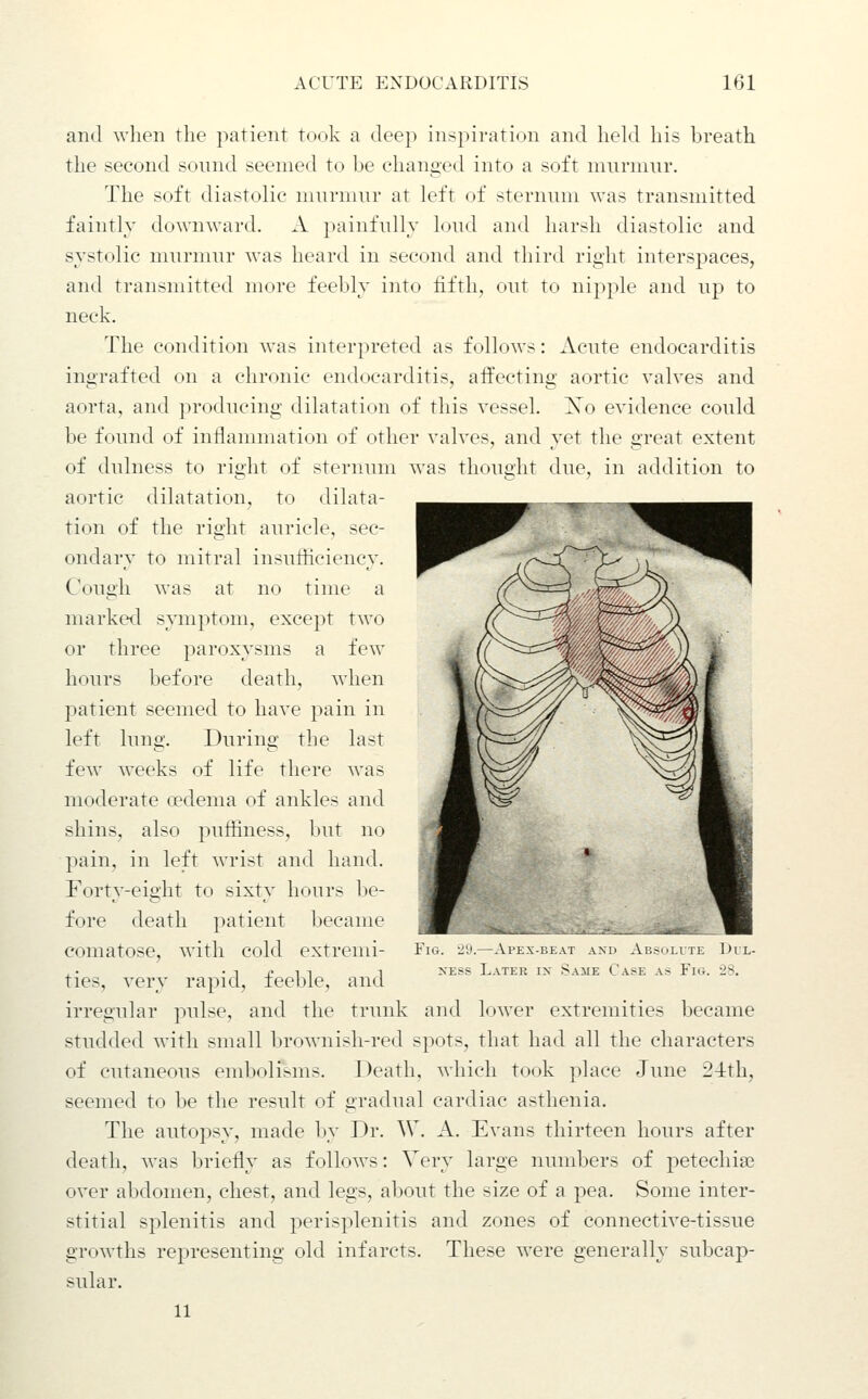 and when the patient took a deep inspiration and held his breath the second sound seemed to ])e changed into a soft murmur. The soft diastolic murmur at left of sternum was transmitted faintly downward. A painfully loud and harsh diastolic and systolic murmur was heard in second and third right interspaces, and transmitted more feebly into fifth, out to nipple and up to neck. The condition was interpreted as follows: Acute endocarditis ingrafted on a chronic endocarditis, affecting aortic valves and aorta, and producing dilatation of this vessel. Xo evidence could be found of inilannnation of other valves, and yet the great extent of dulness to right of sternum was thought due, in addition to aortic dilatation, to dilata- tion of the right auricle, sec- ondary to mitral insufficiency. Cough was at no time a marked symptom, except two or three paroxysms a few hours before death, when patient seemed to have pain in left lung. During the last few weeks of life there was moderate oedema of ankles and shins, also puffiness, but no pain, in left wrist and hand. Forty-eight to sixty hours be- fore death patient became comatose, with cold extrend- ties, very rapid, feeble, and irregular pulse, and the trunk and lower extremities became studded with small brownish-red spots, that had all the characters of cutaneous emboli>ms. Death, which took place June 2-lth, seemed to be the result of gradual cardiac asthenia. The autopsy, made by Dr. W. A. Evans thirteen hours after death, was briefly as follows: Very large numbers of petechise over abdomen, chest, and legs, about the size of a pea. Some inter- stitial splenitis and perisplenitis and zones of connective-tissue growths representing old infarcts. These were generally subcap- sular. 11 Fig. 29.—Apex-i;kai am' Ai;---mti; Uil- XESS Later ix Same Case as Fig. 28.